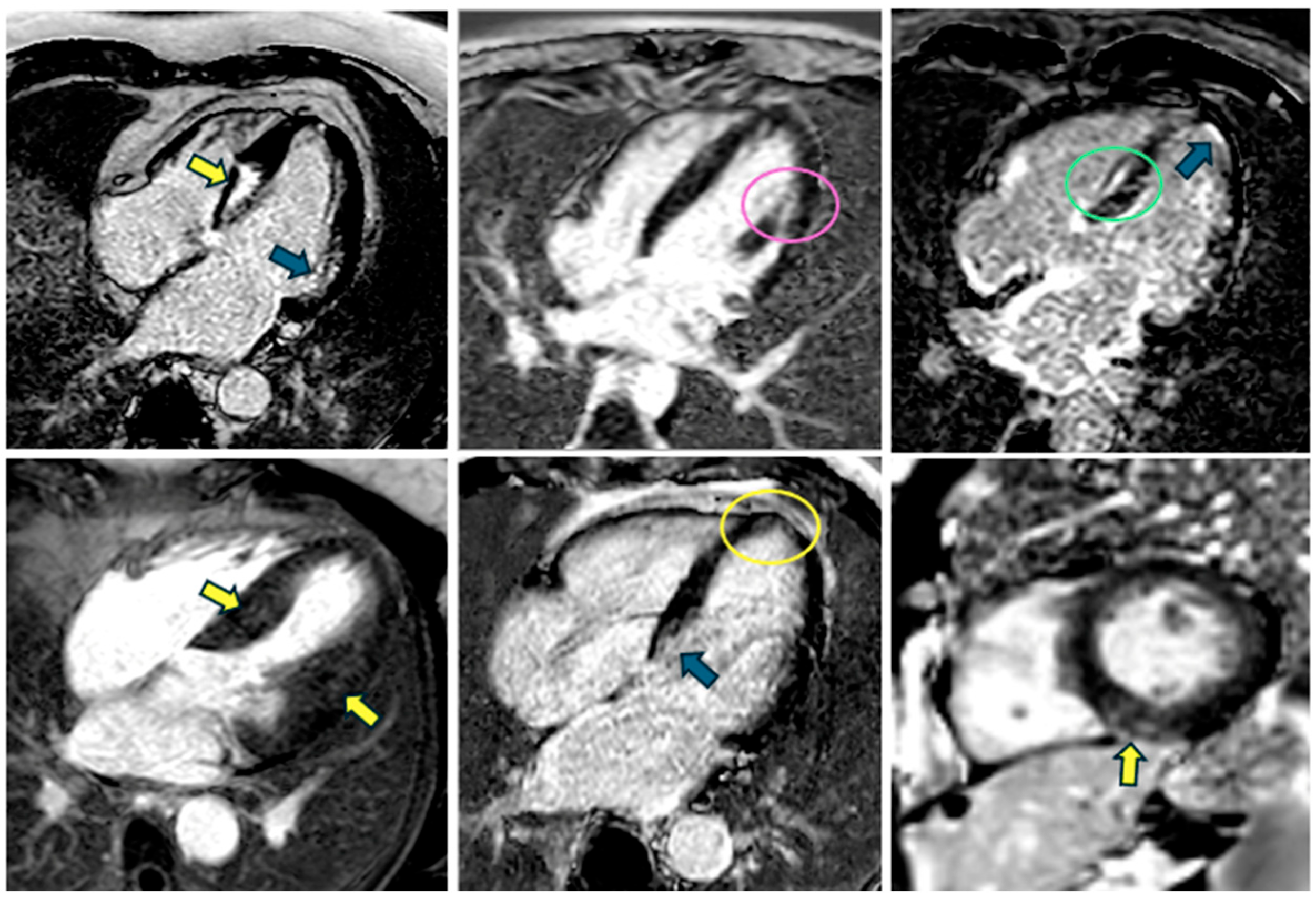 Biomedicines 13 02138 g003 Biomedicines 13 02138 g003
