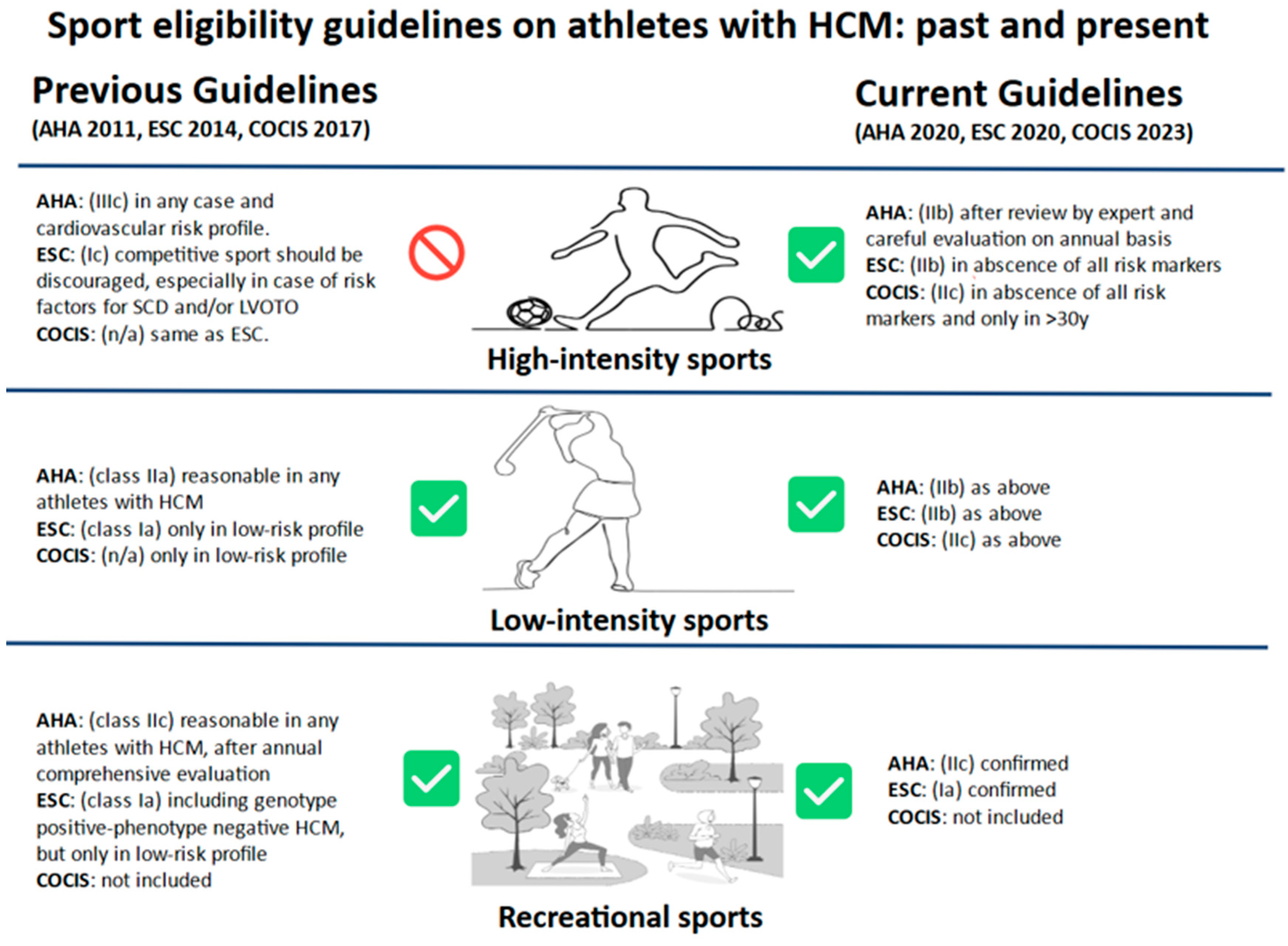 Biomedicines 13 02138 g004 Biomedicines 13 02138 g004
