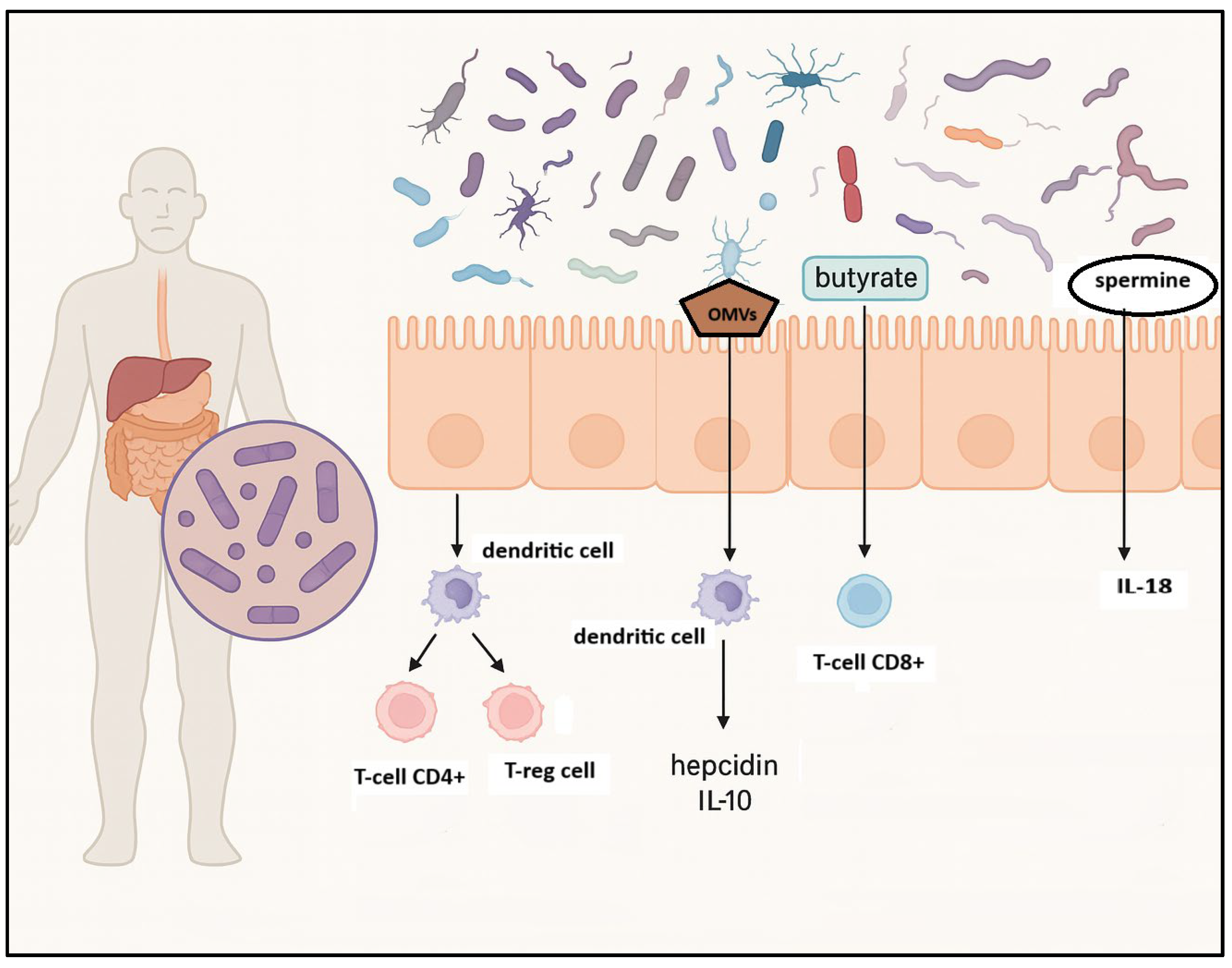 Biomedicines 13 02141 g001 Biomedicines 13 02141 g001