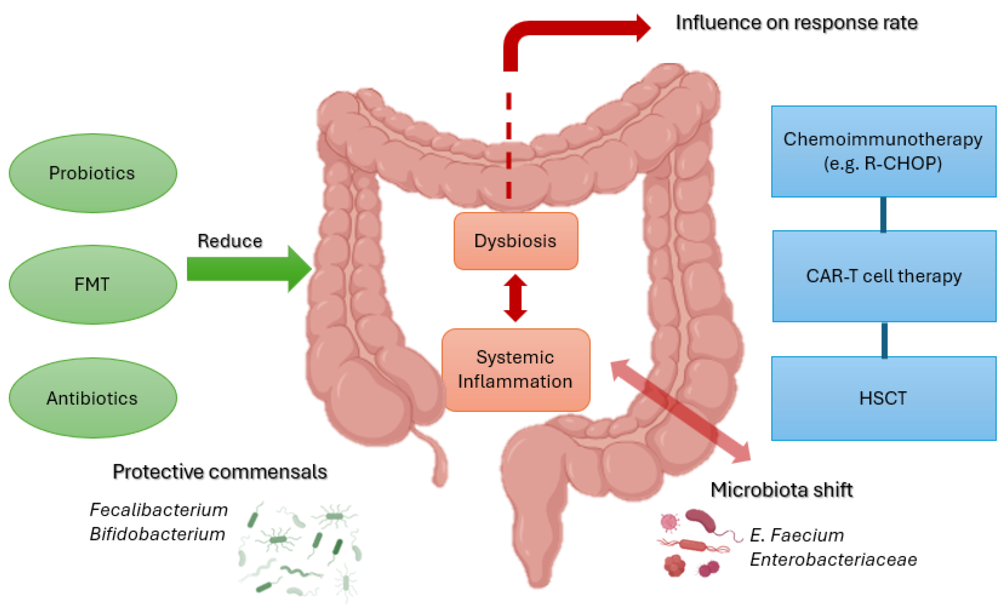 Biomedicines 13 02141 g002 Biomedicines 13 02141 g002