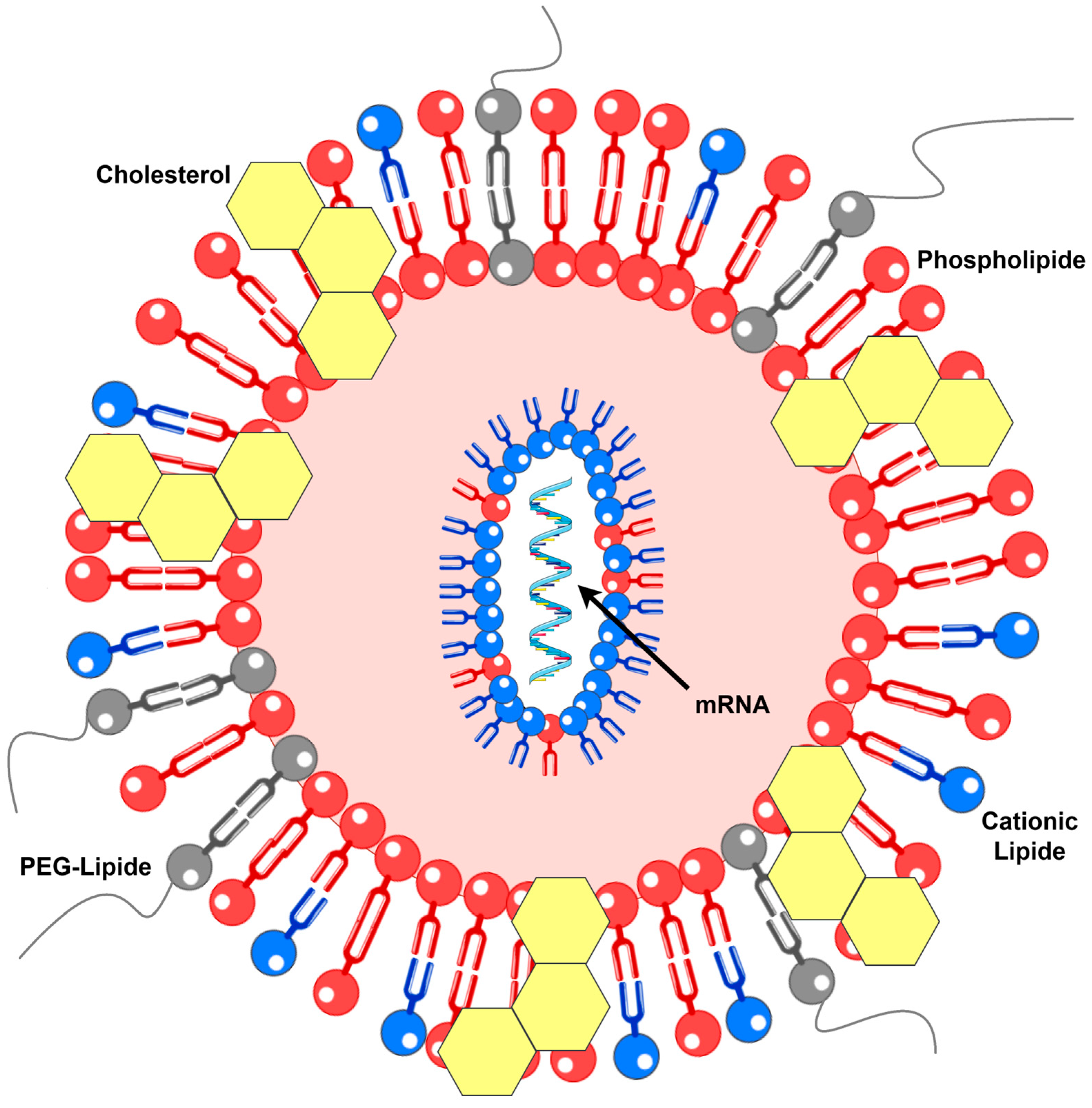 Biomedicines 13 02187 g001 Biomedicines 13 02187 g001