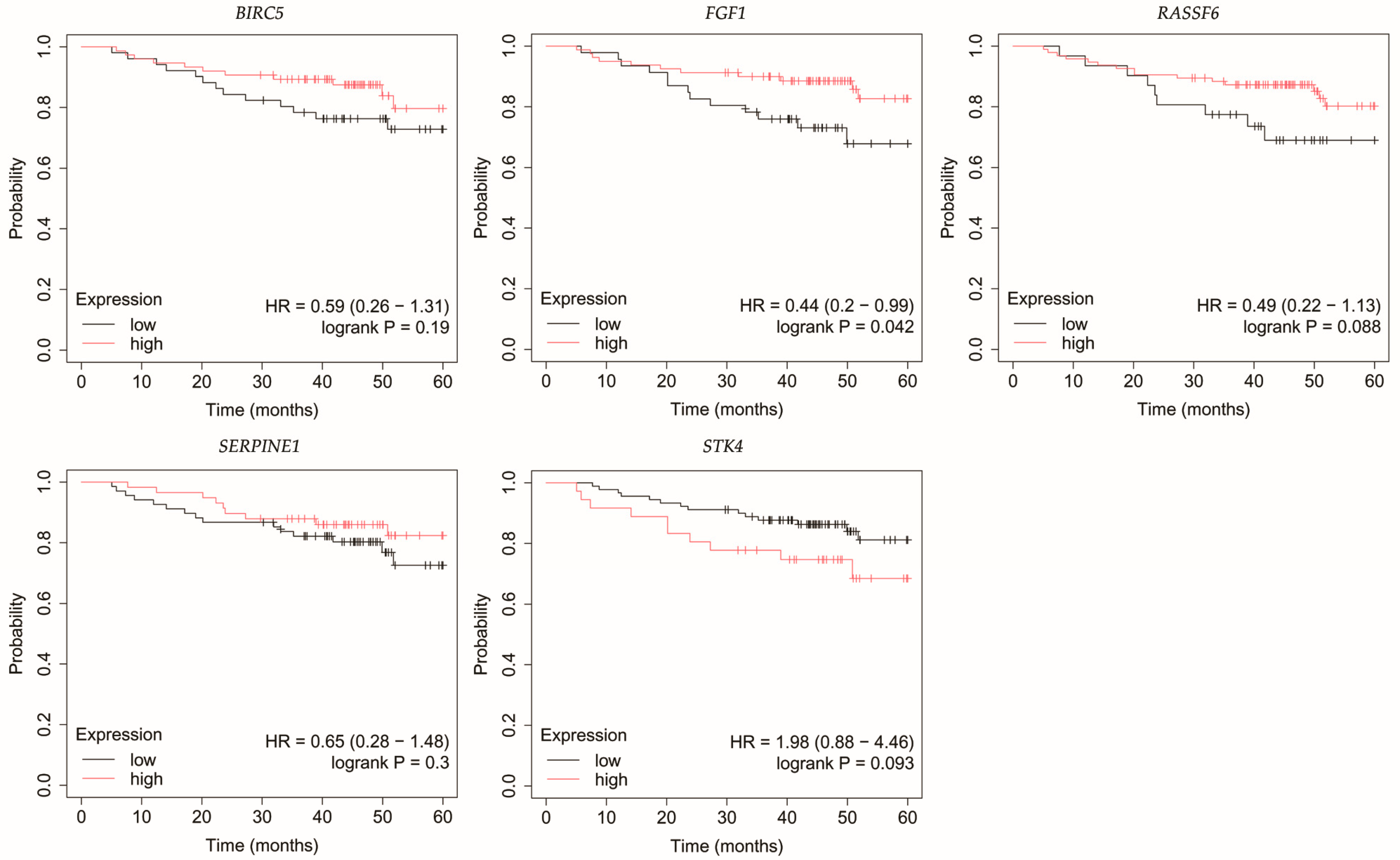 Biomedicines 13 02342 g007 Biomedicines 13 02342 g007