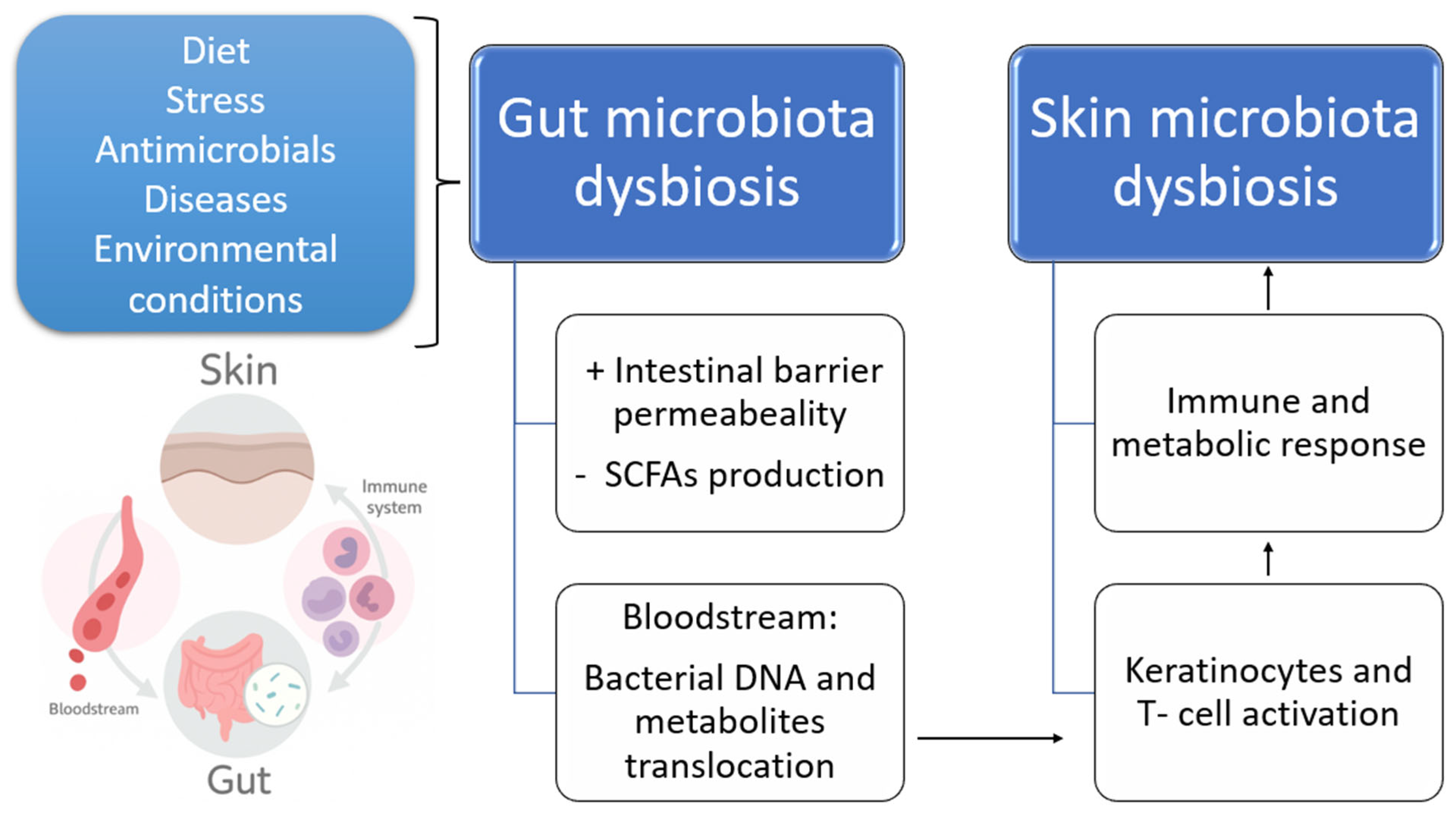 Biomedicines 13 02372 g001 Biomedicines 13 02372 g001