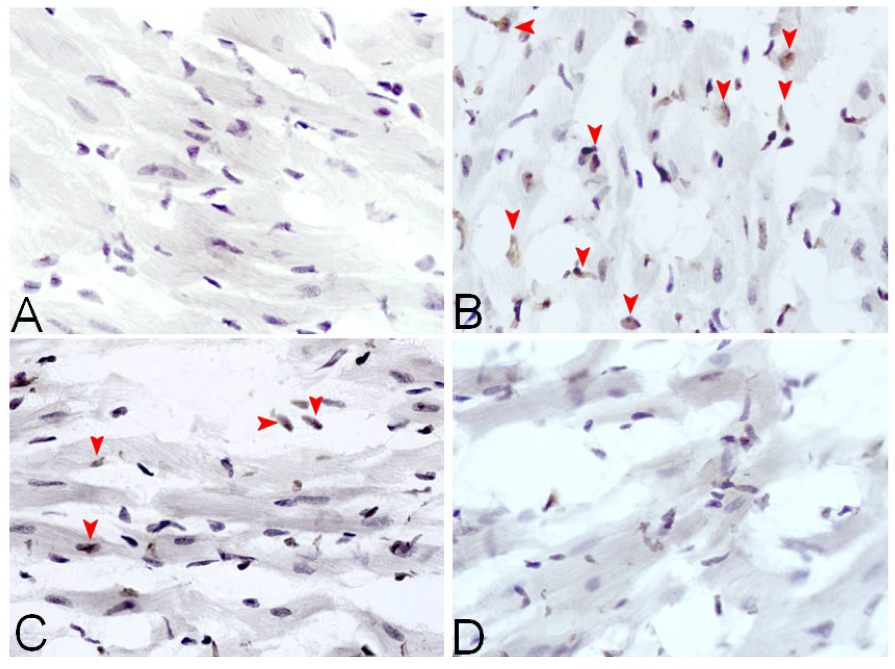 Biomedicines 13 02407 g005 Biomedicines 13 02407 g005