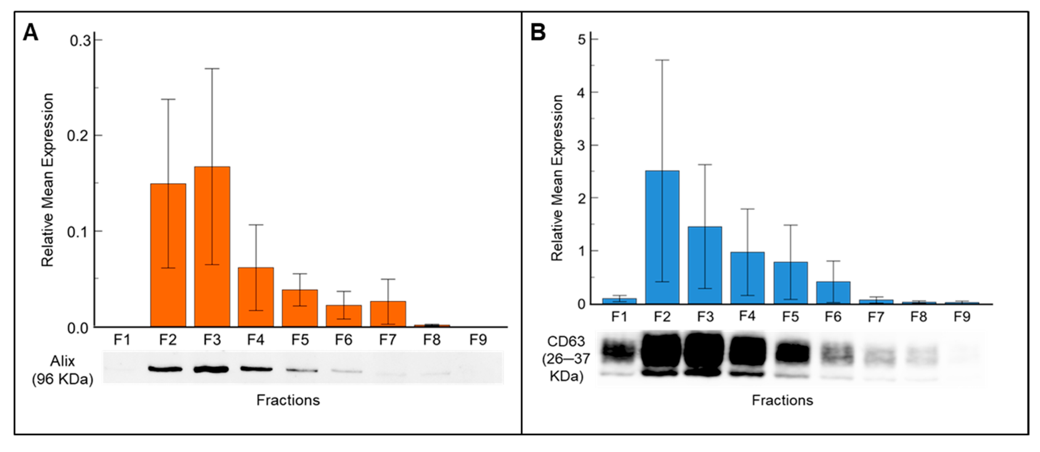 Biomedicines 13 02459 g002 Biomedicines 13 02459 g002