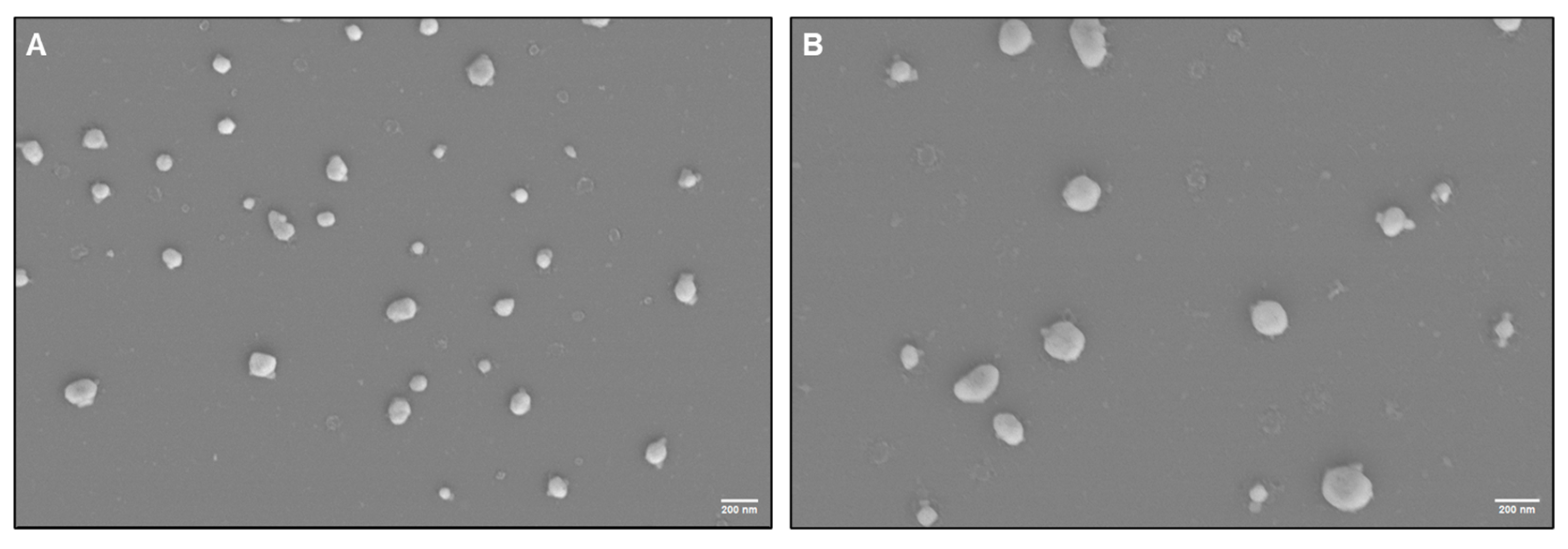 Biomedicines 13 02459 g004 Biomedicines 13 02459 g004