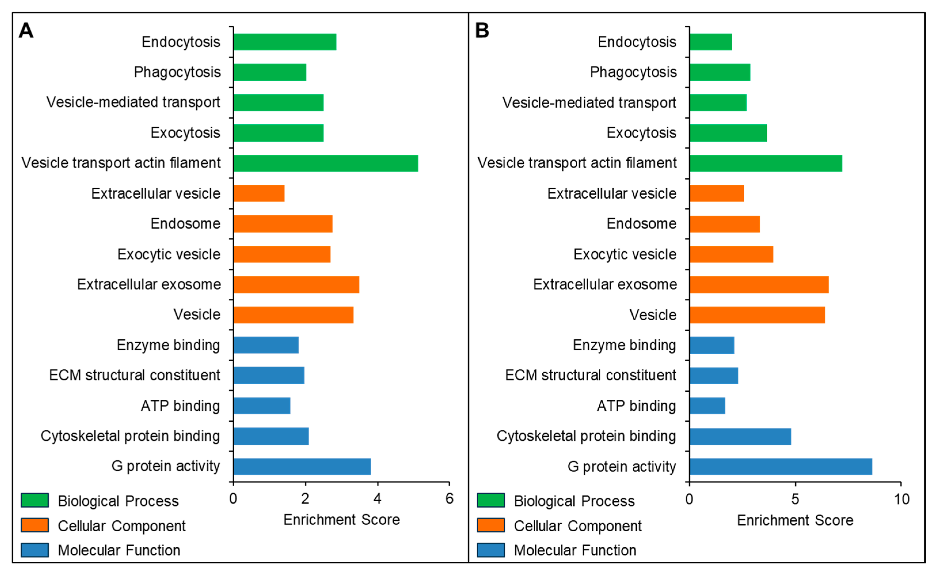 Biomedicines 13 02459 g006 Biomedicines 13 02459 g006