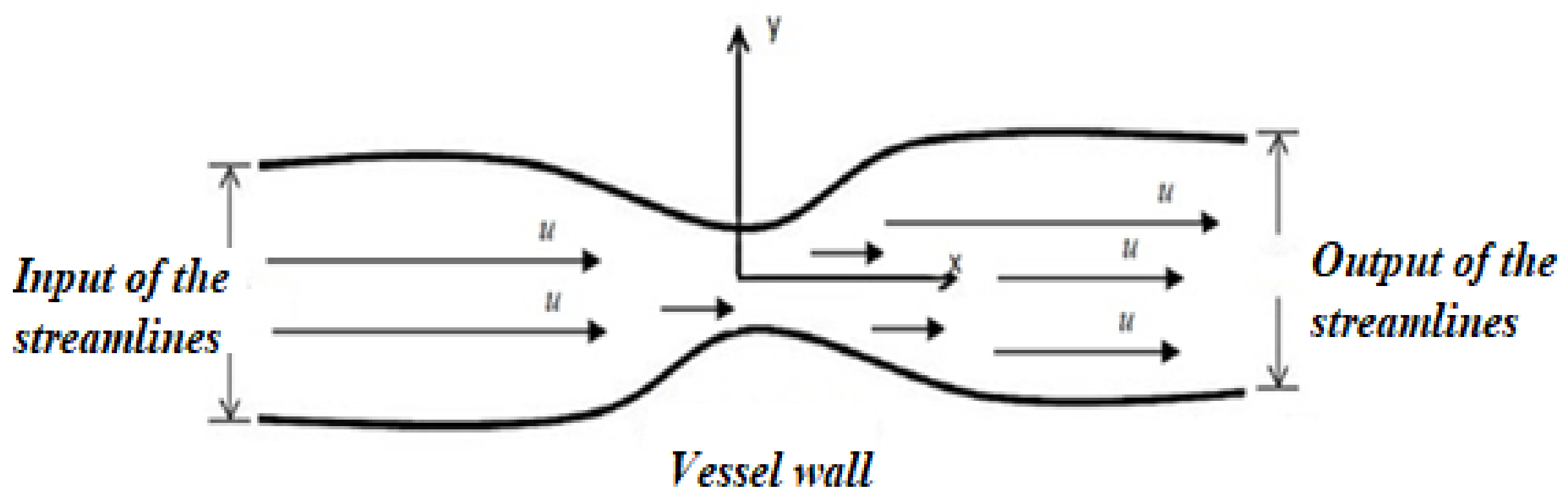 Biomedinformatics 02 00002 g001