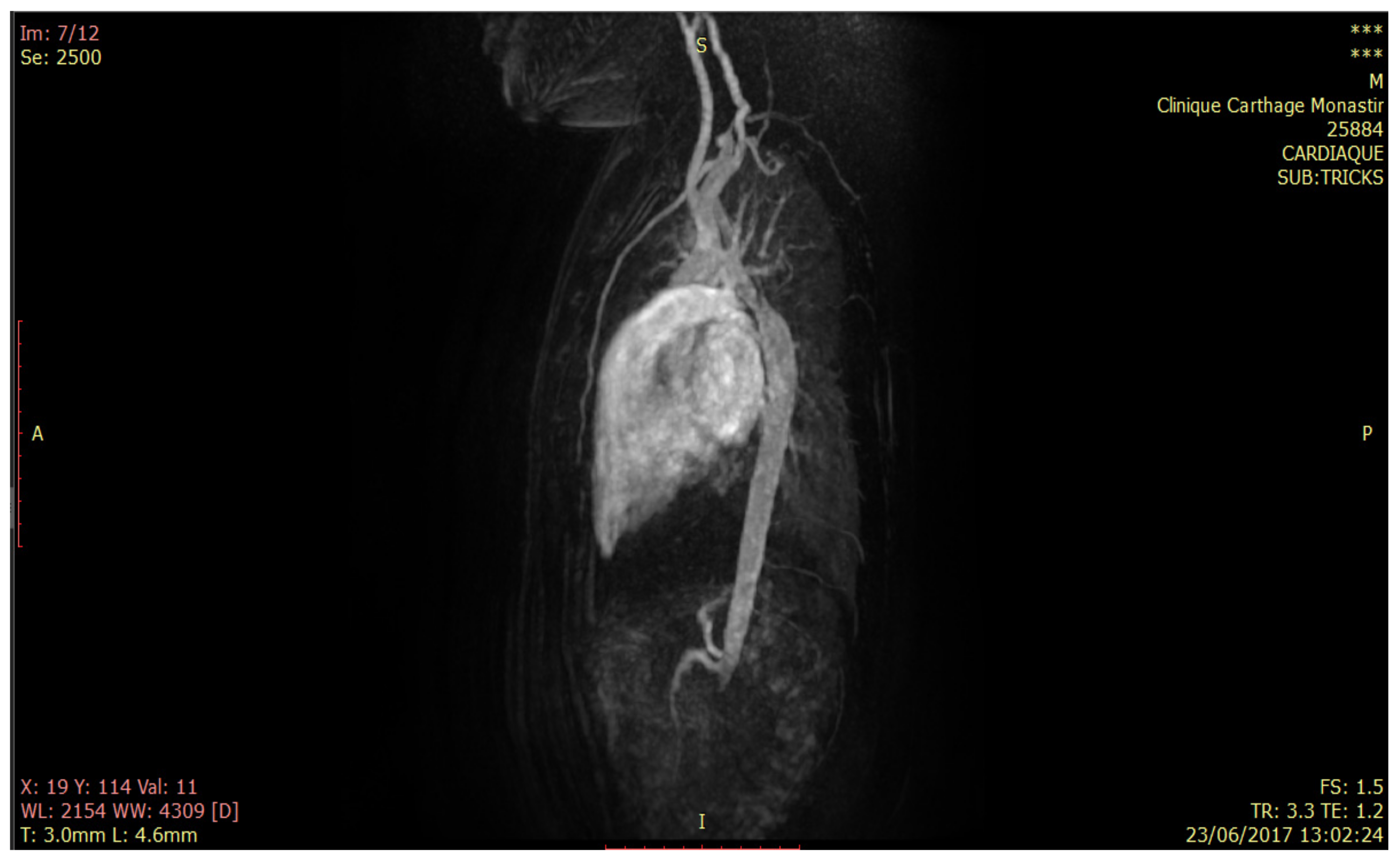 Biomedinformatics 02 00002 g007