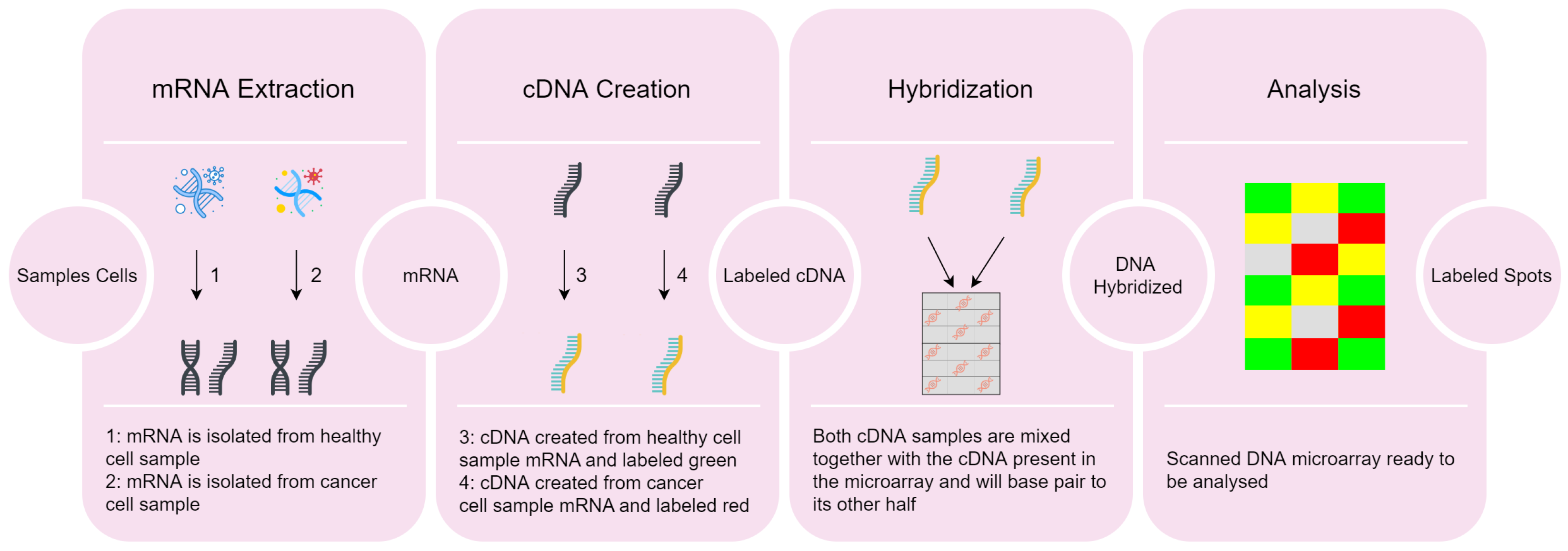 Biomedinformatics 03 00040 g001