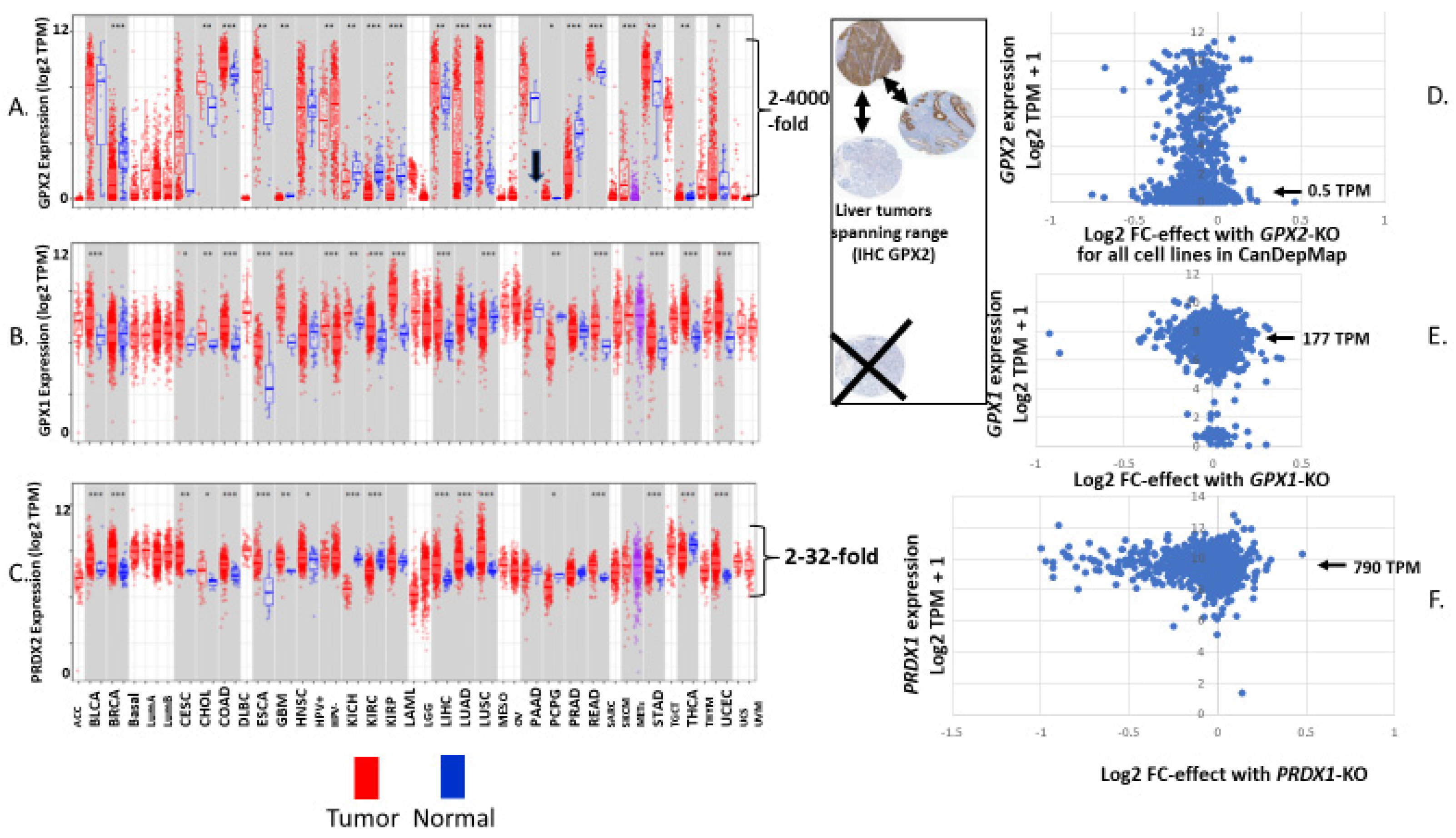 Biomedinformatics 03 00060 g004 Biomedinformatics 03 00060 g004