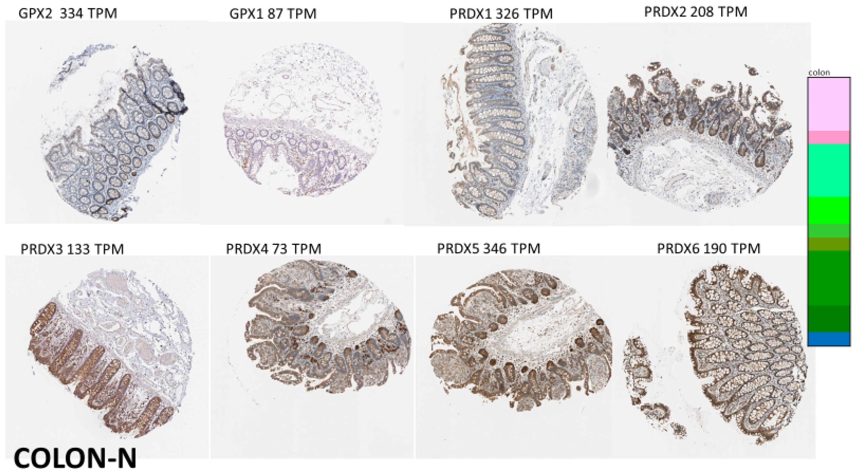 Biomedinformatics 03 00060 g006 Biomedinformatics 03 00060 g006