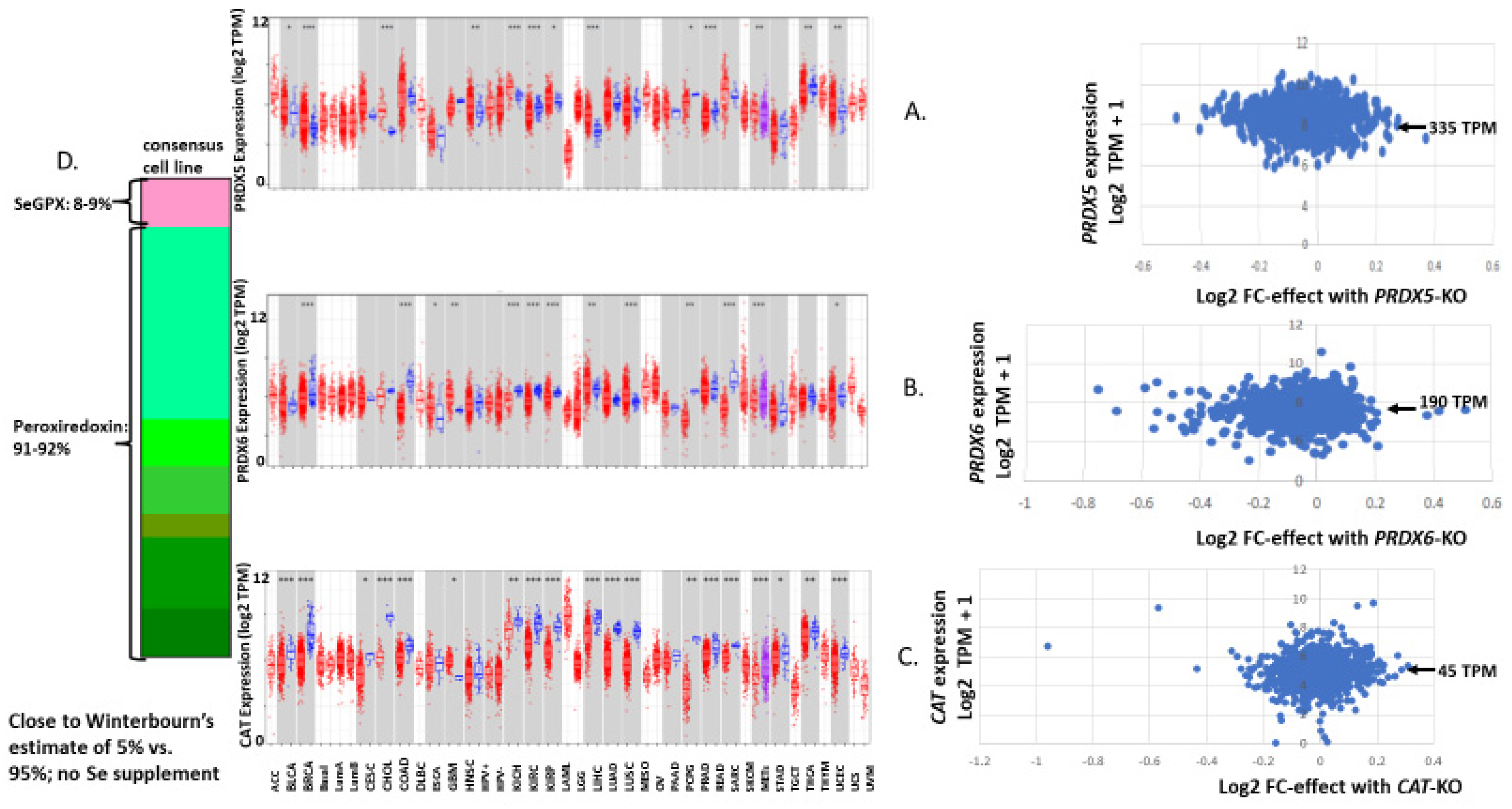 Biomedinformatics 03 00060 g010 Biomedinformatics 03 00060 g010