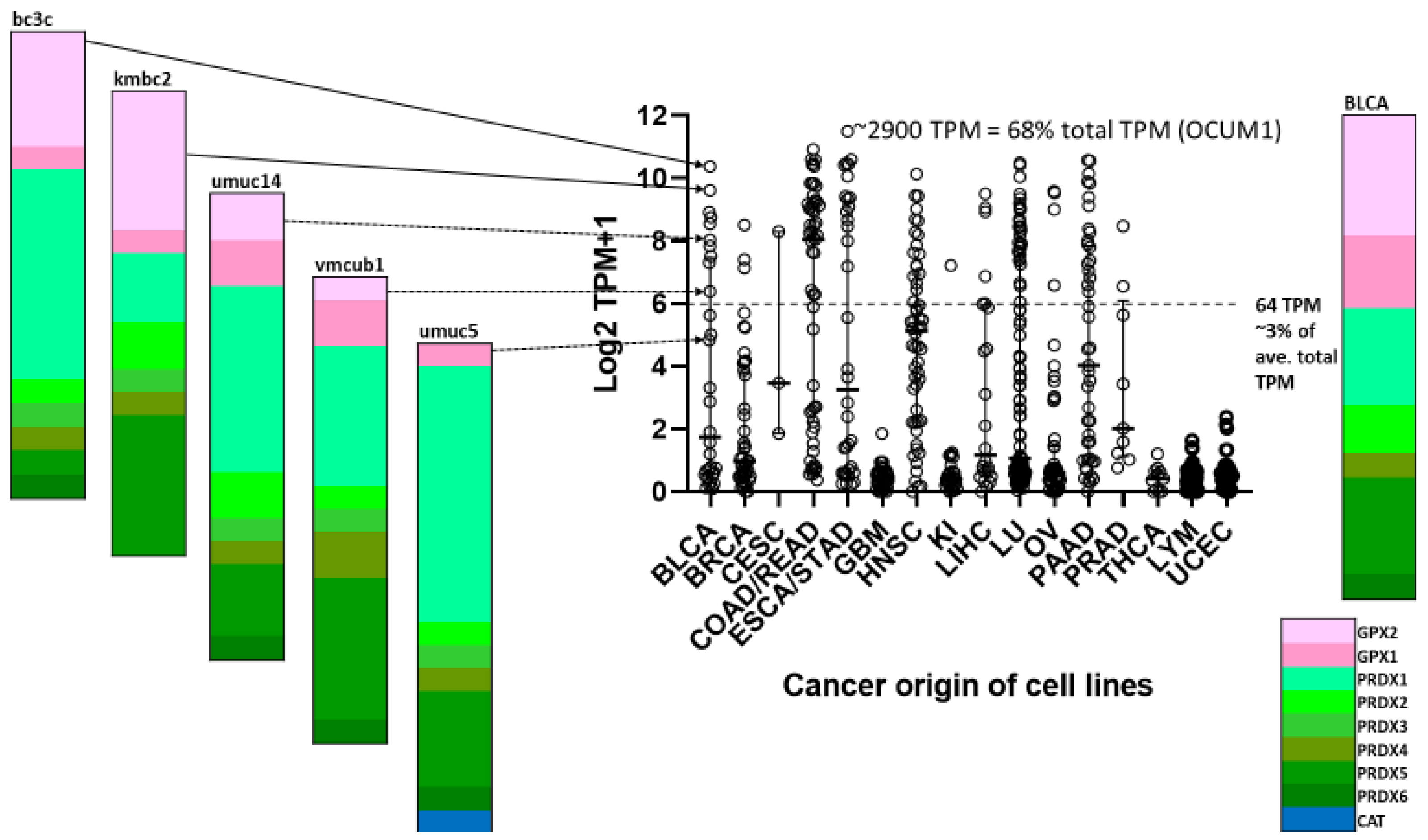 Biomedinformatics 03 00060 g011 Biomedinformatics 03 00060 g011