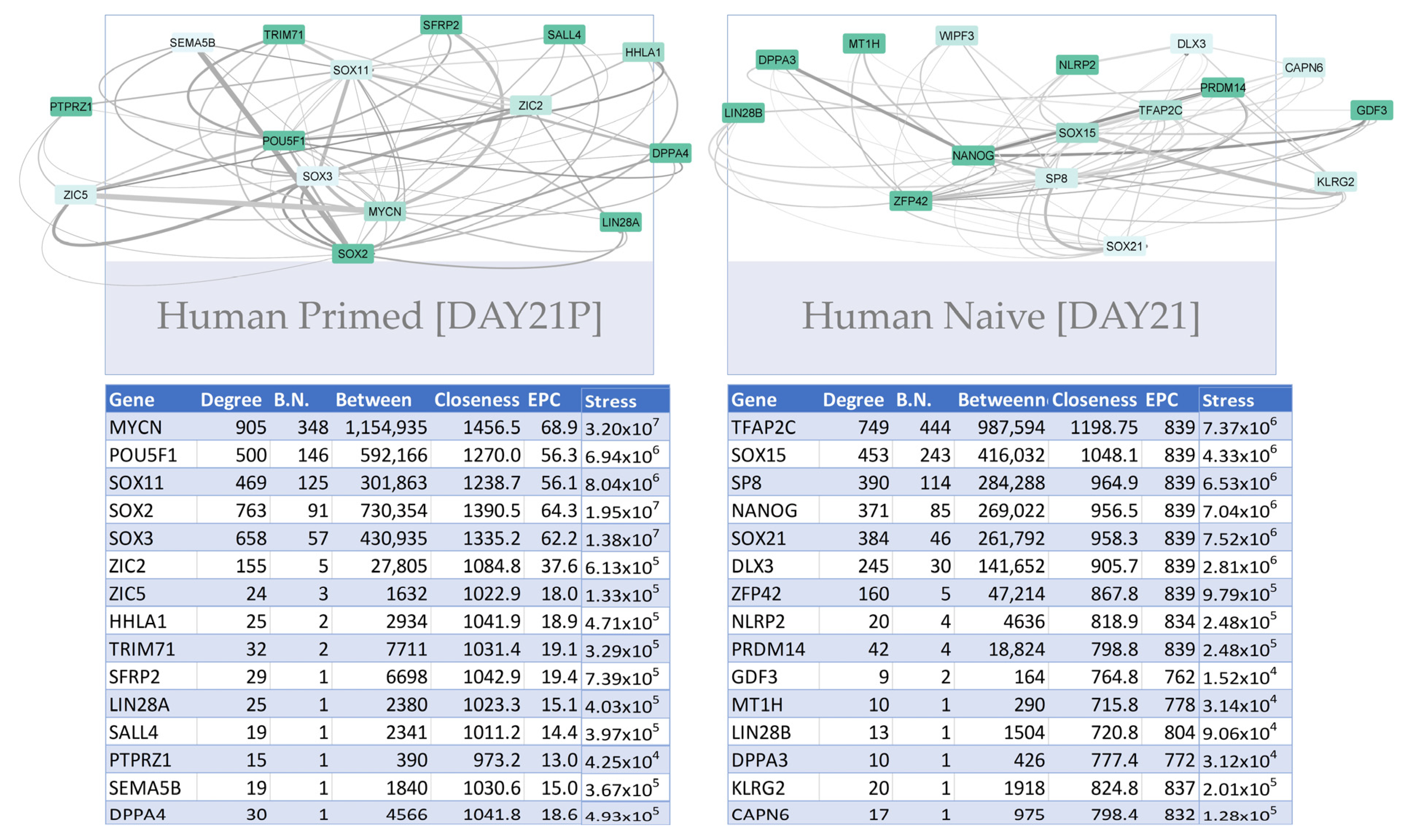 Biomedinformatics 03 00061 g010