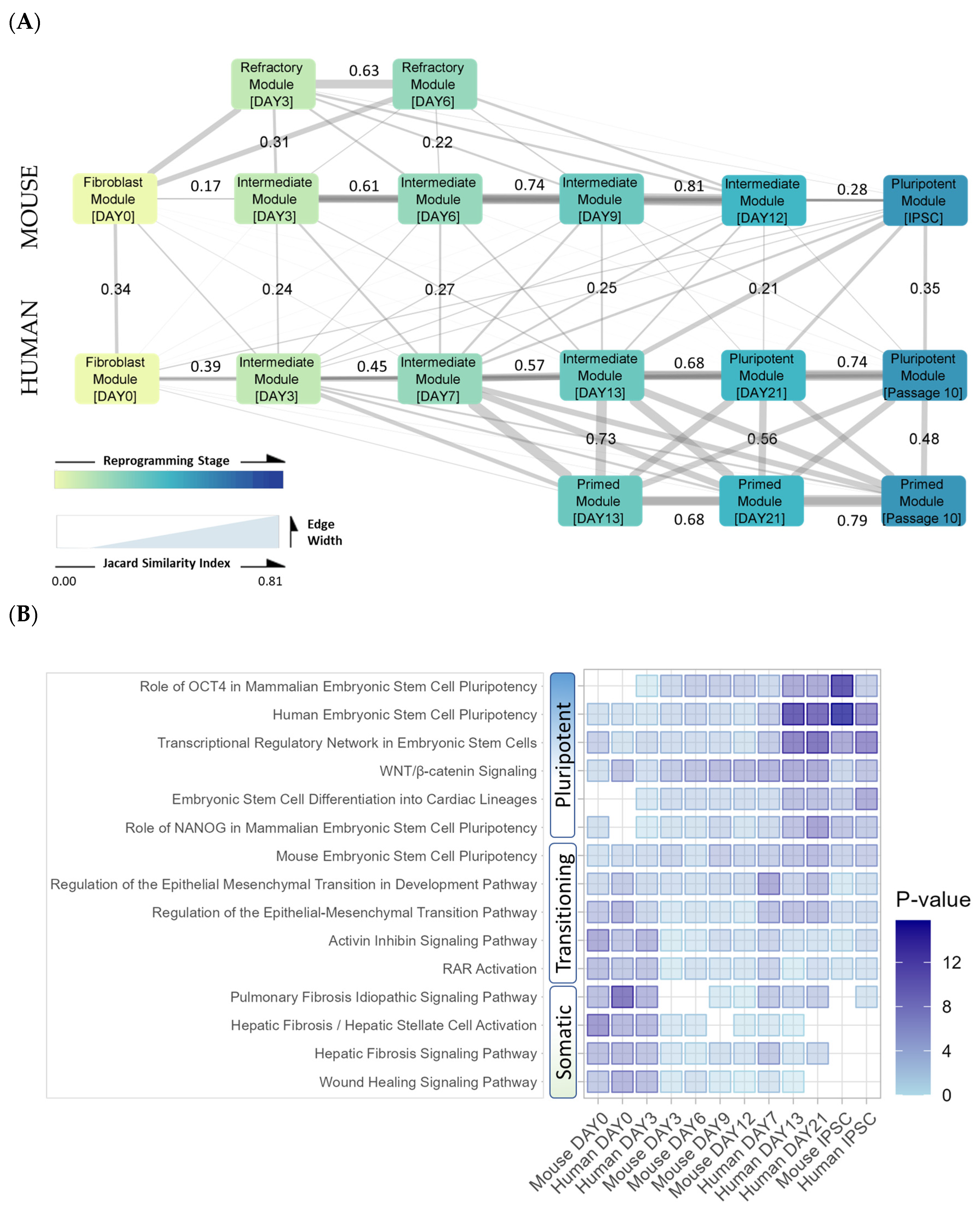 Biomedinformatics 03 00061 g011