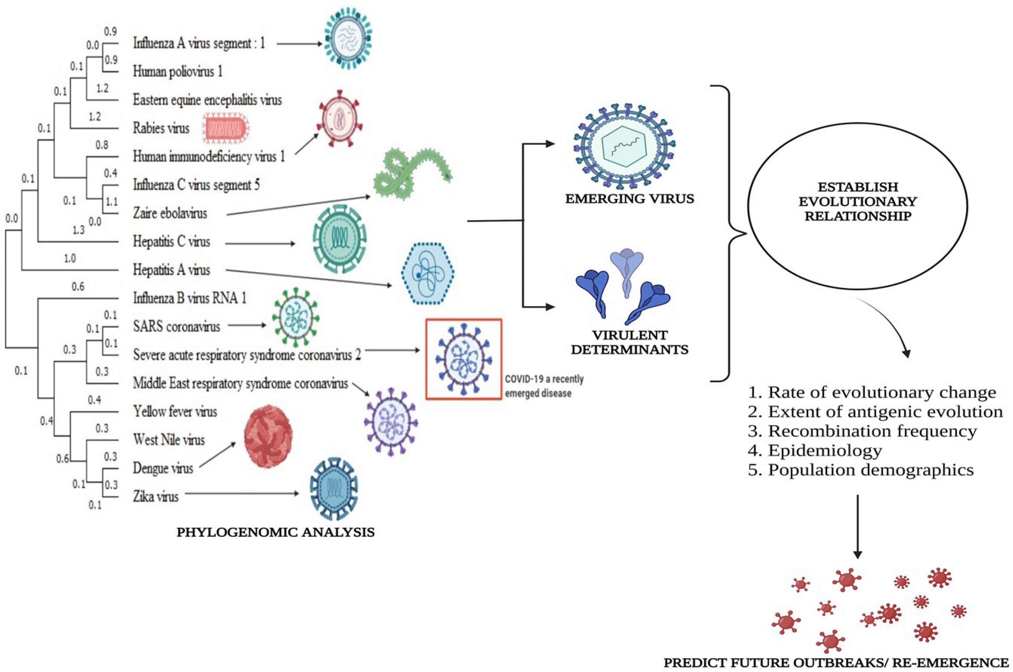 Biomedinformatics 03 00069 g002