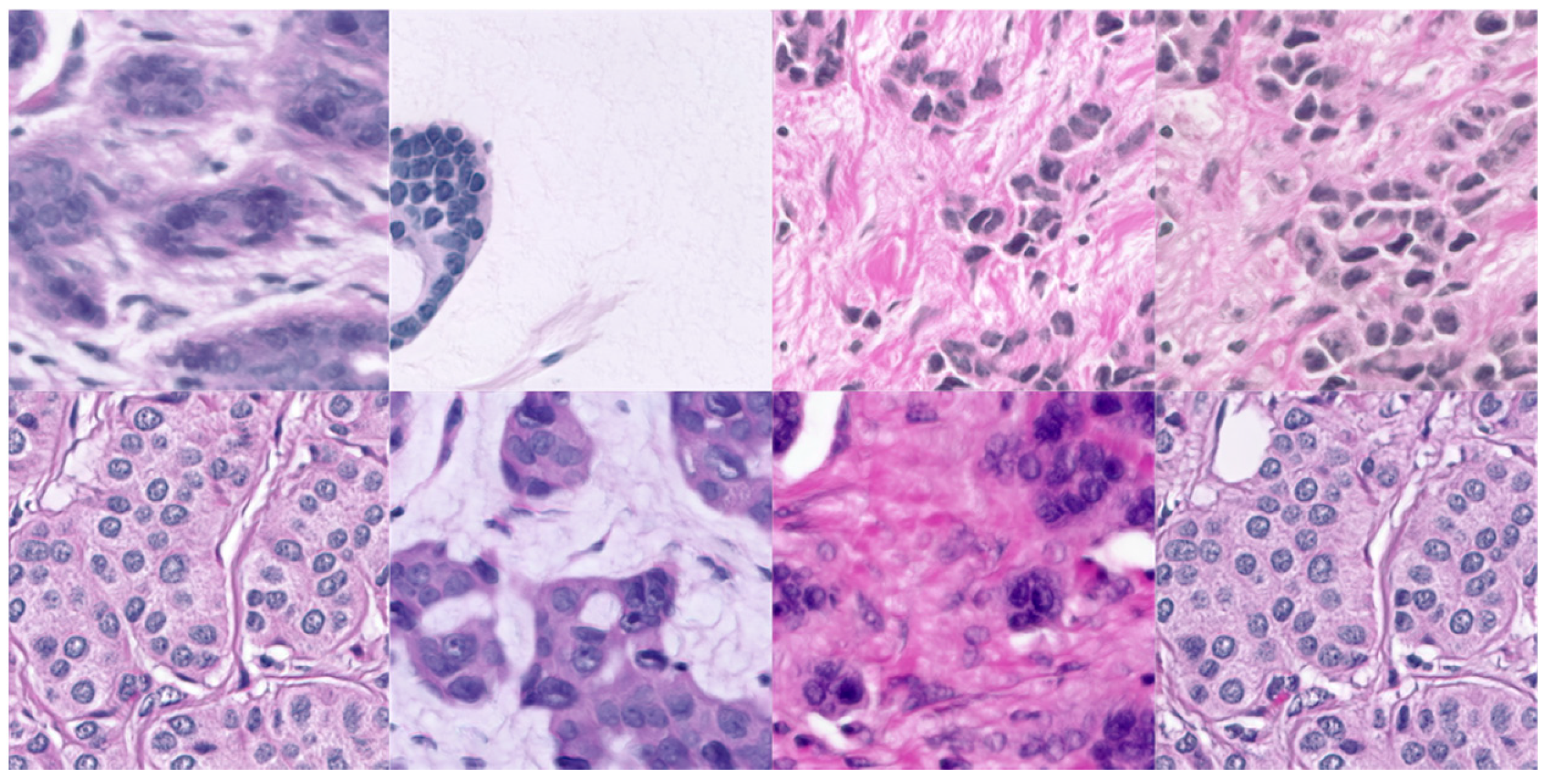 Biomedinformatics 04 00052 g003