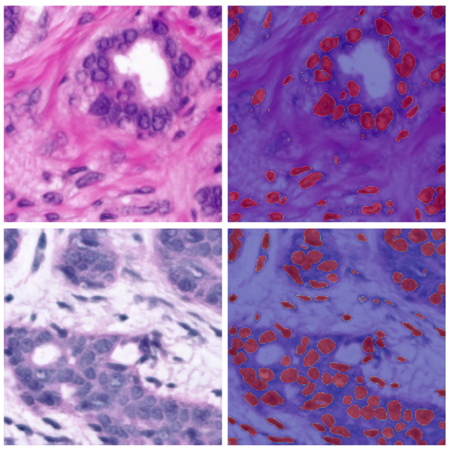 Biomedinformatics 04 00052 g012