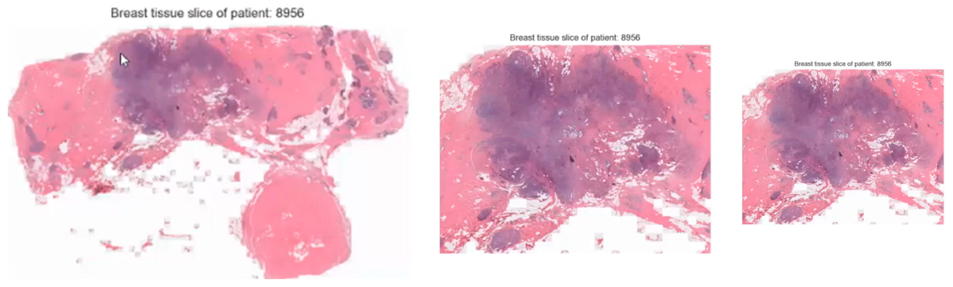 Biomedinformatics 04 00055 g007