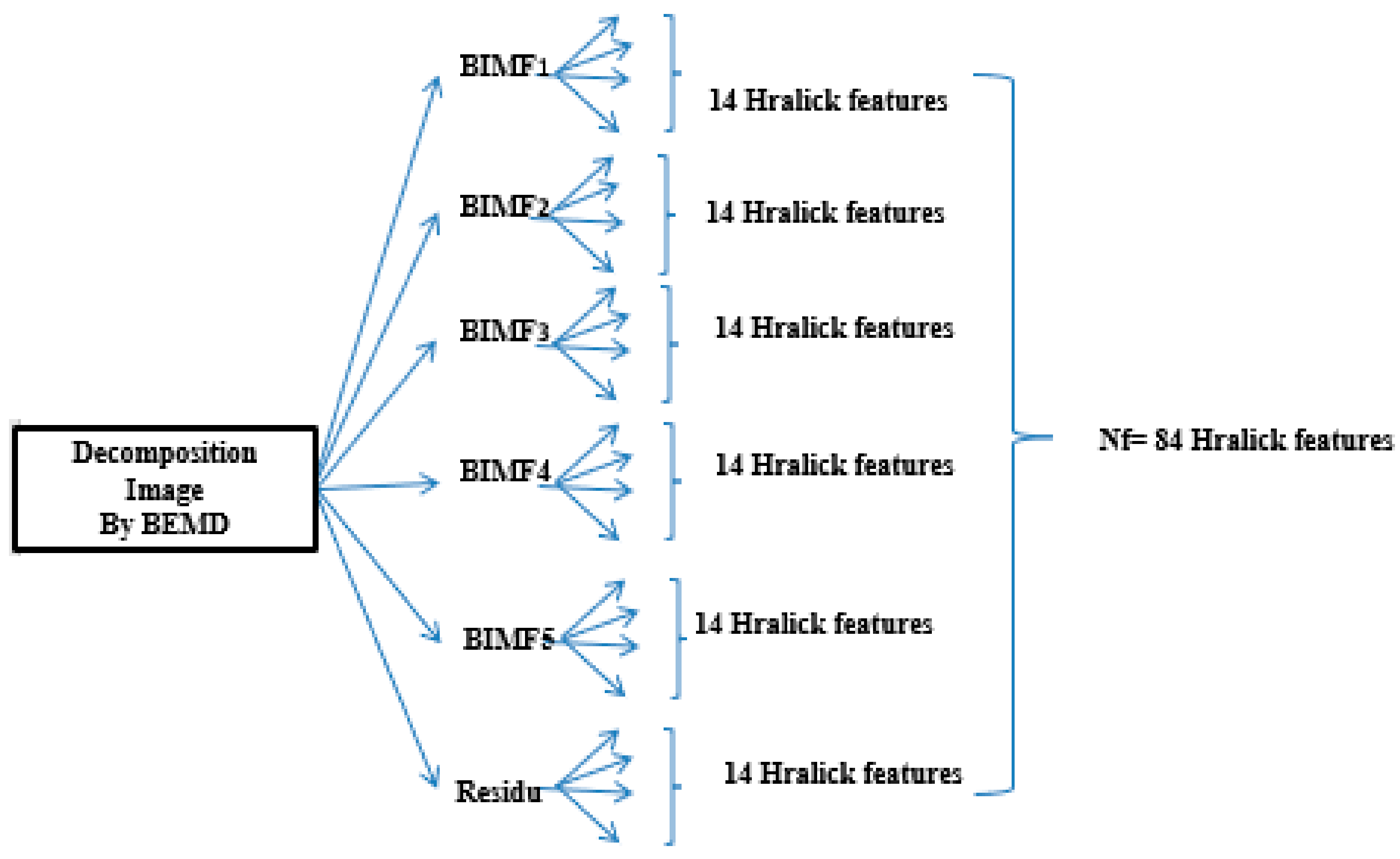 Biomedinformatics 04 00066 g004