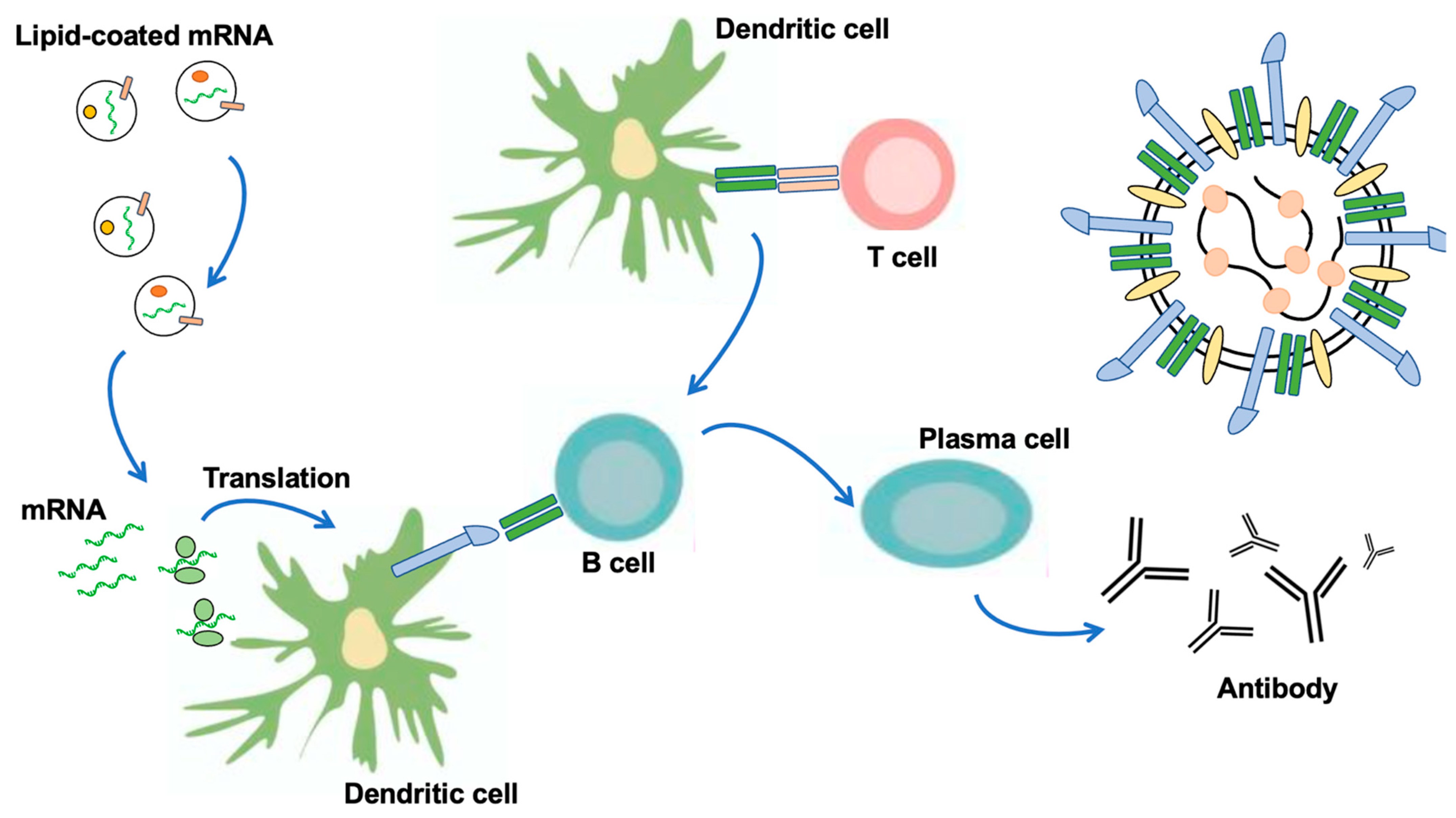 Biomedinformatics 04 00084 g003