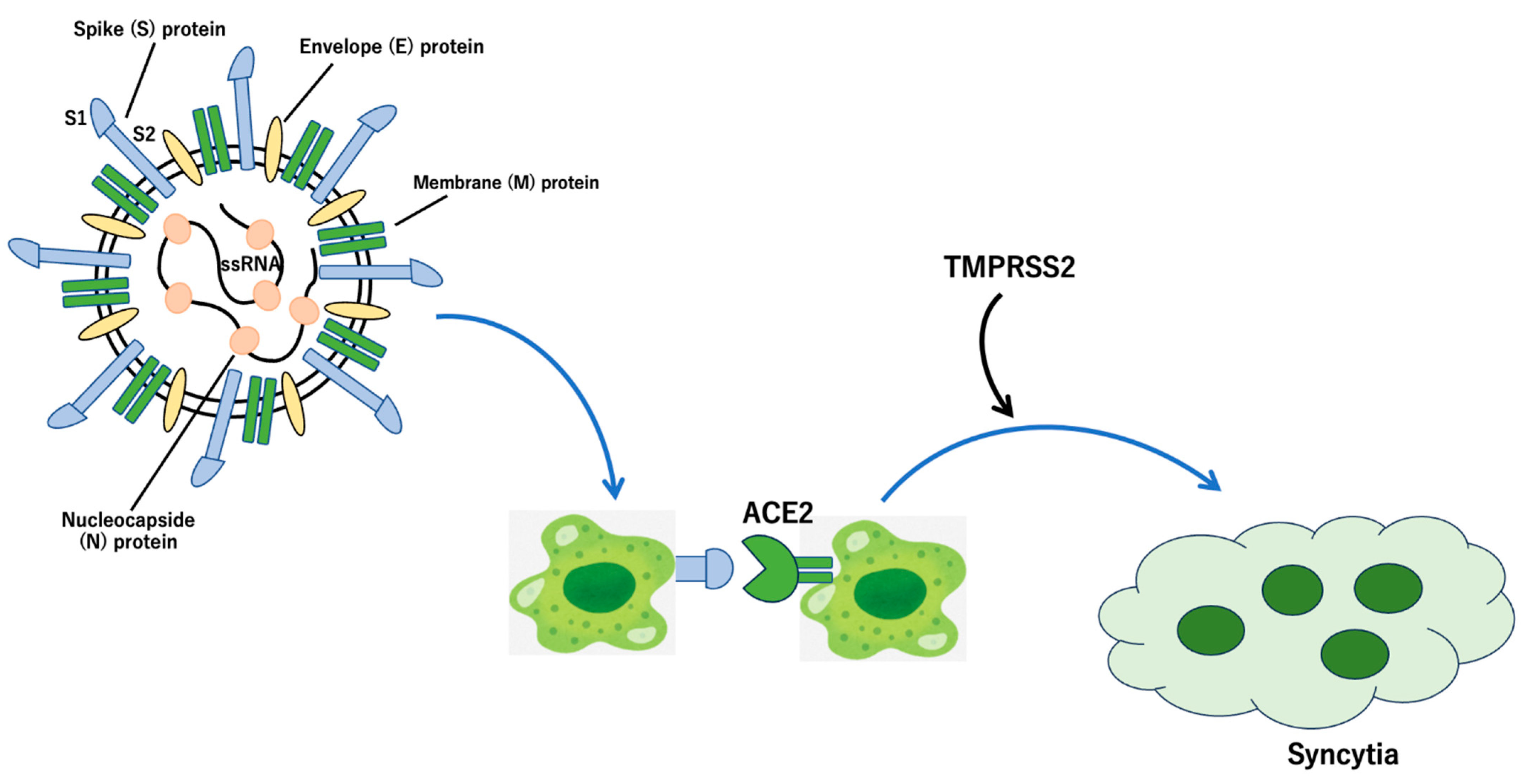 Biomedinformatics 04 00084 g004