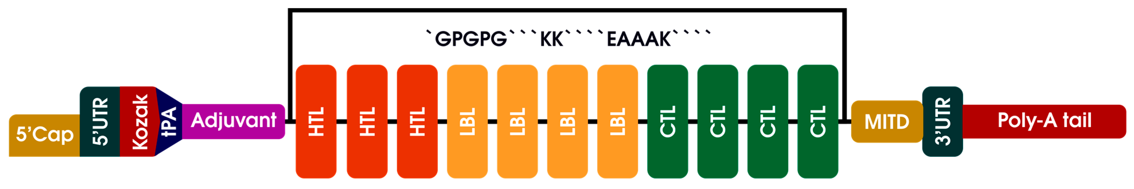 Biomedinformatics 04 00086 g003