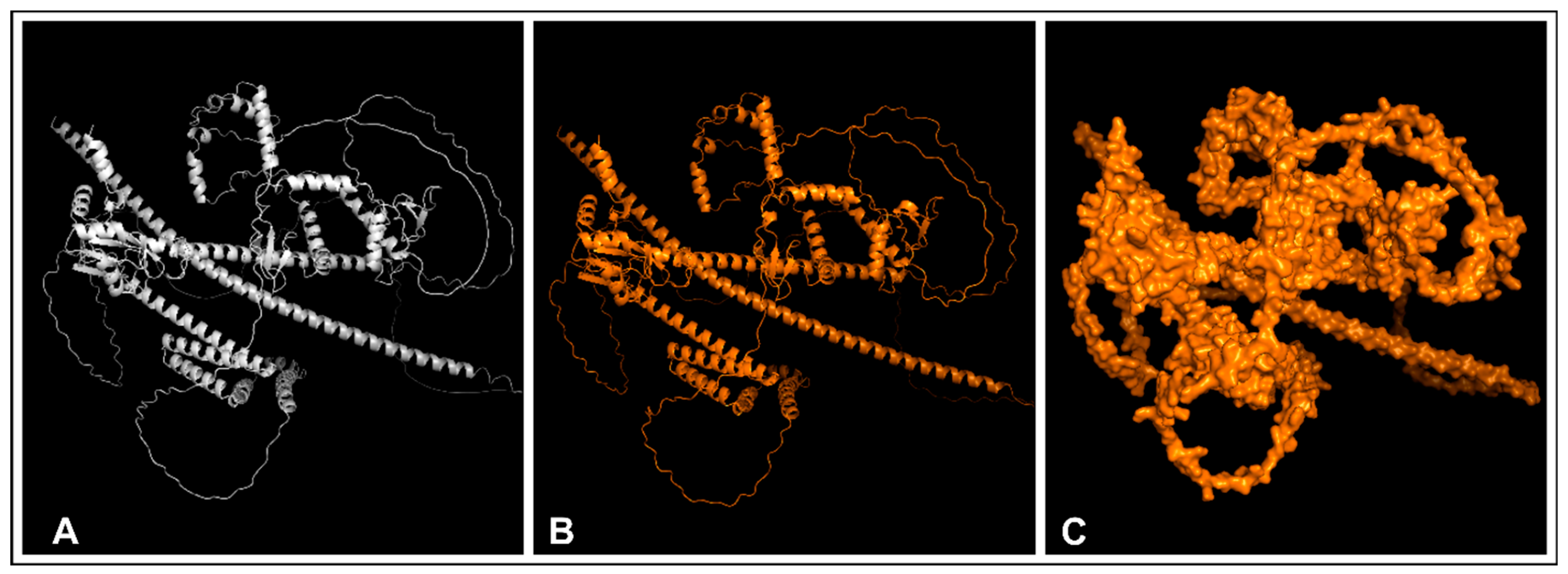 Biomedinformatics 04 00086 g006
