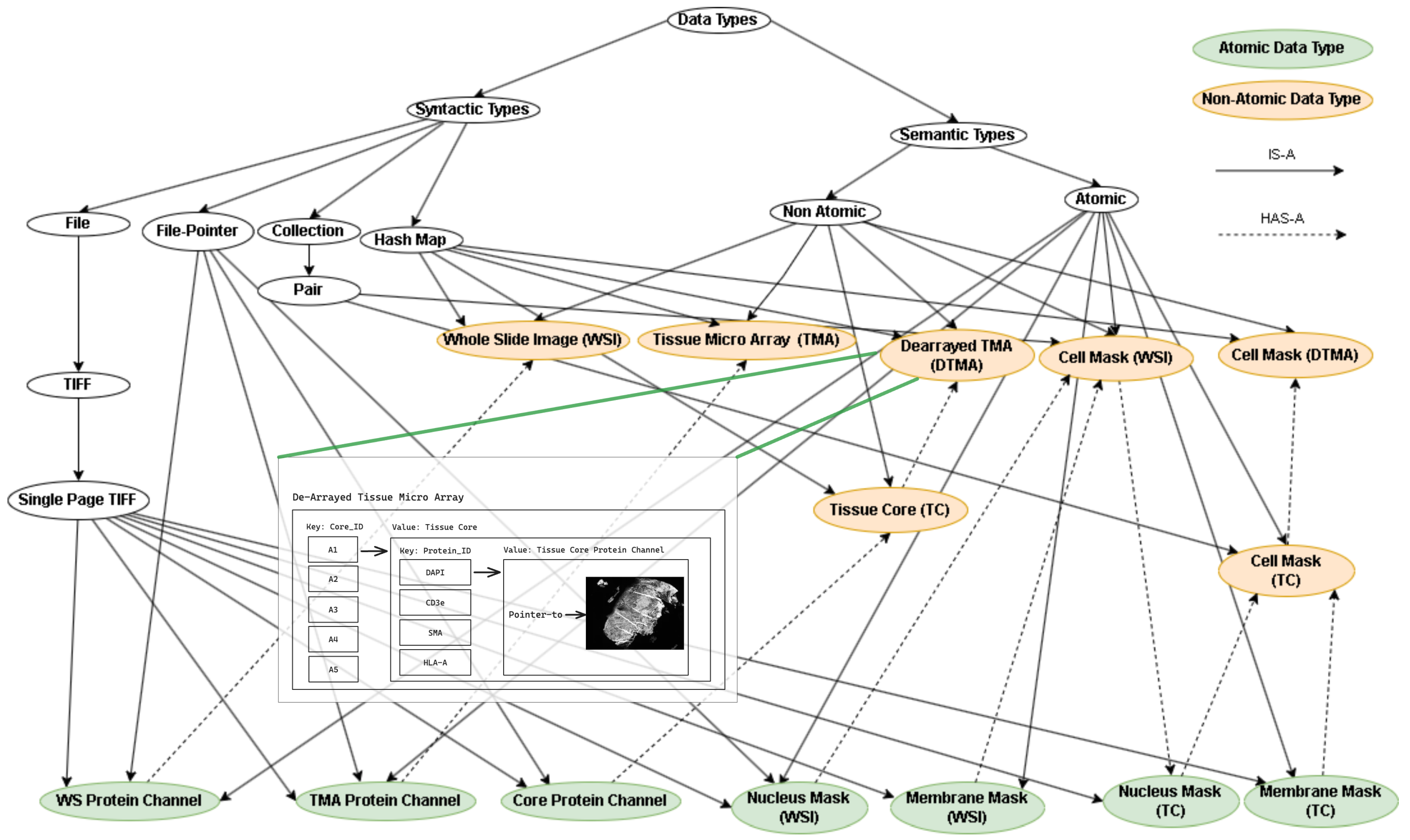 Biomedinformatics 04 00102 g005