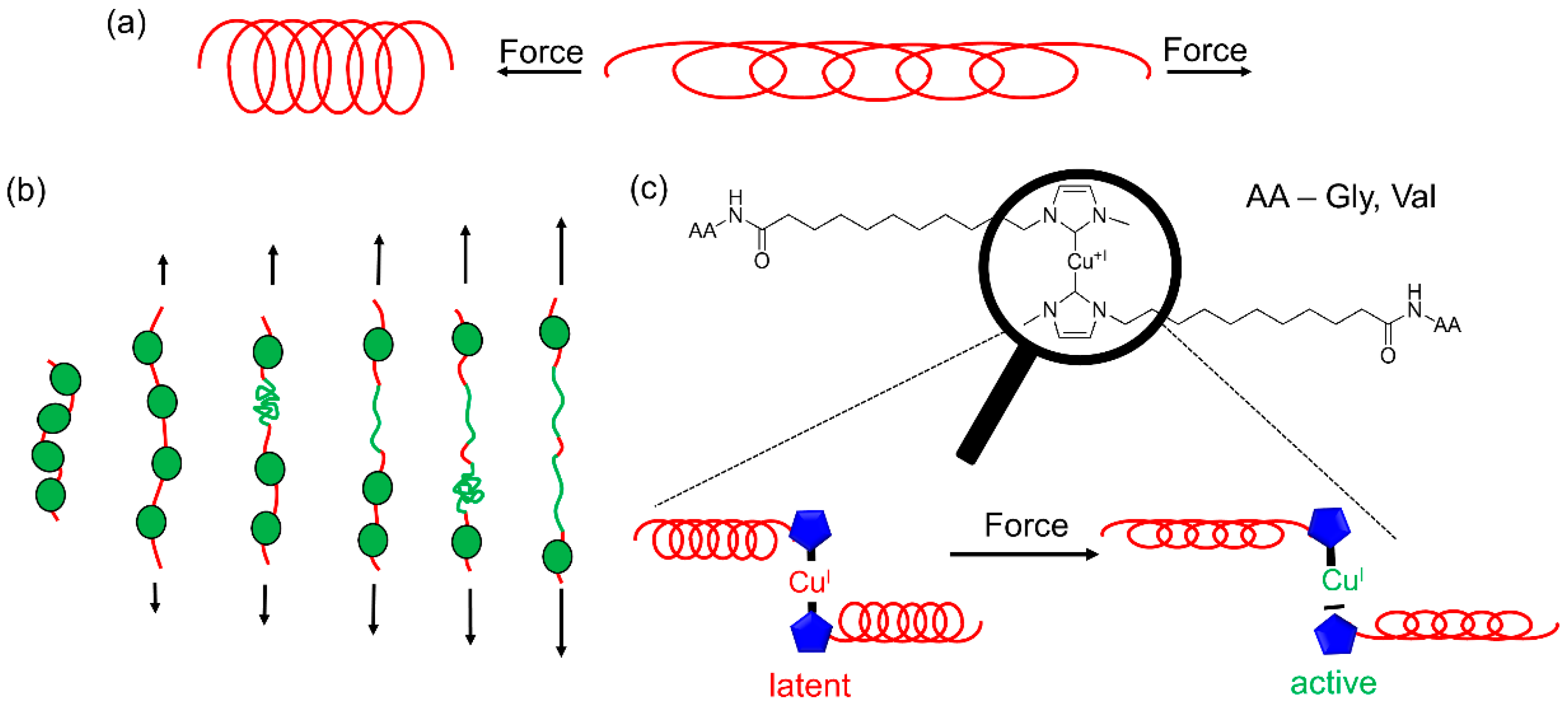 Biomimetics Free Full Text Synthesis And Mechanochemical Activity Of Peptide Based Cu I Bis N Heterocyclic Carbene Complexes Html