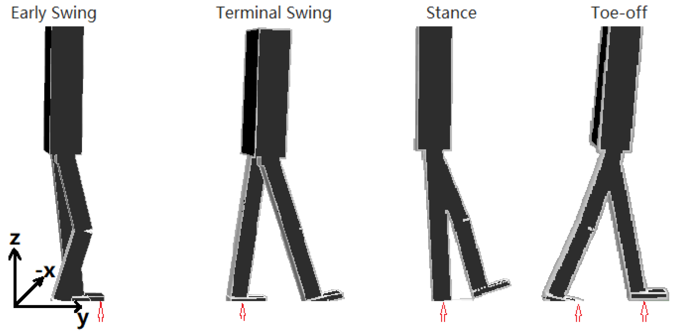 Biomimetics 04 00028 g001