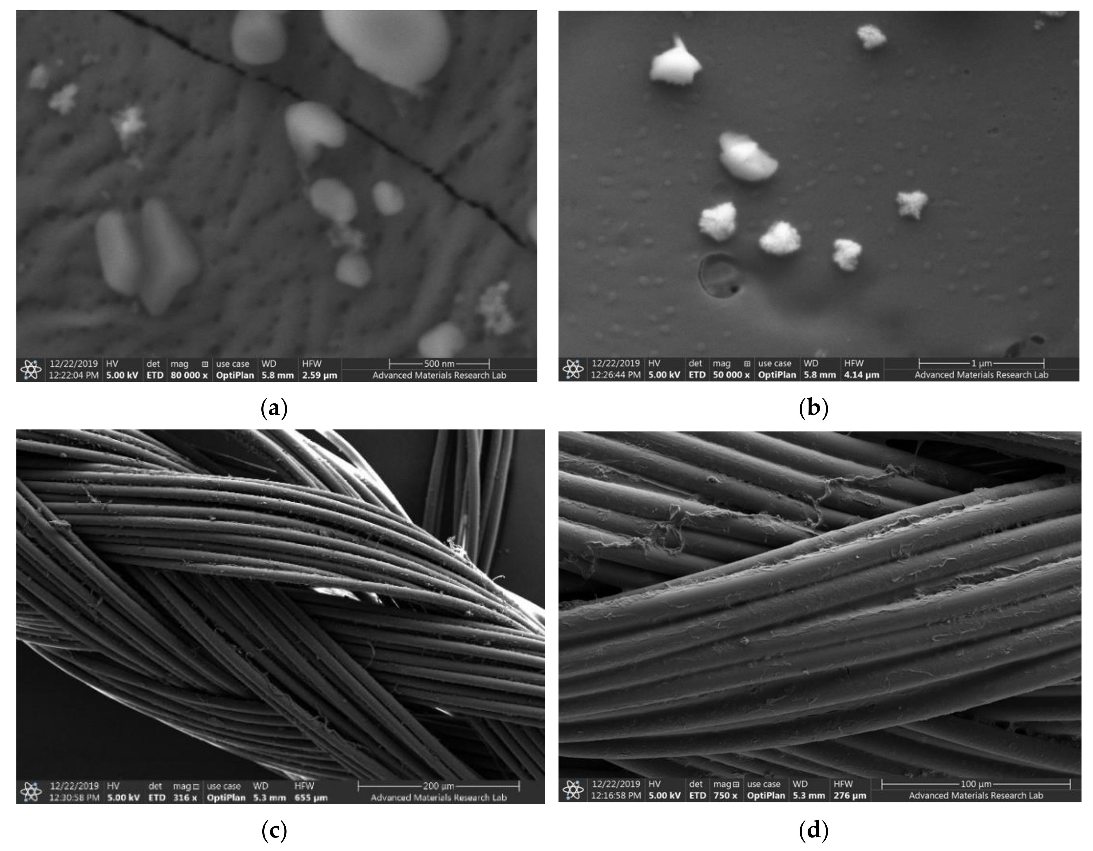 Biomimetics 05 00045 g001 Biomimetics 05 00045 g001