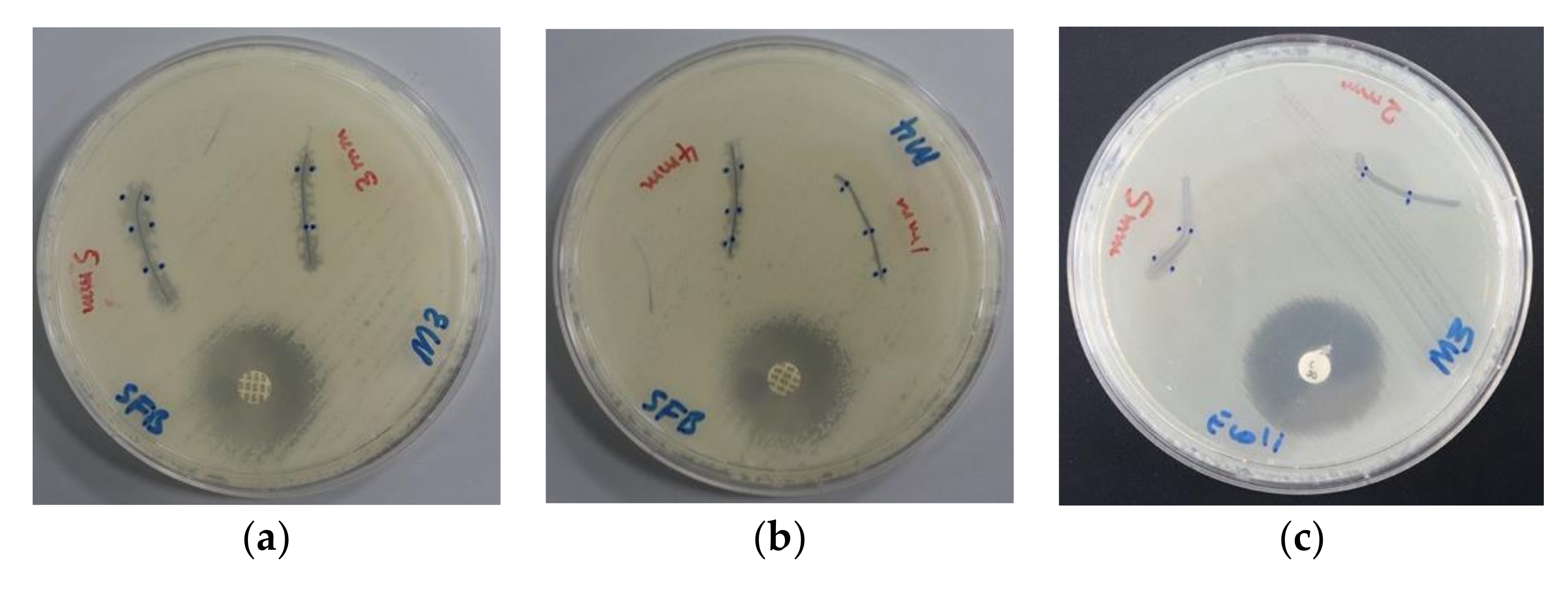Biomimetics 05 00045 g008 Biomimetics 05 00045 g008