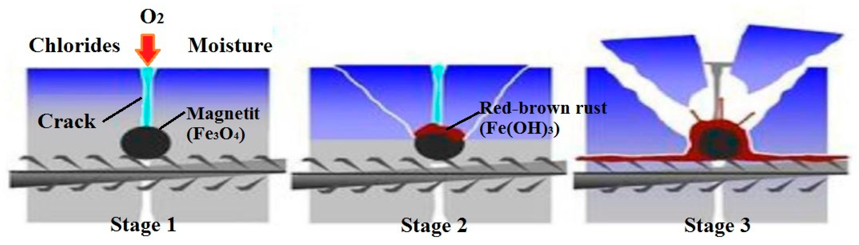 Biomimetics 05 00047 g001