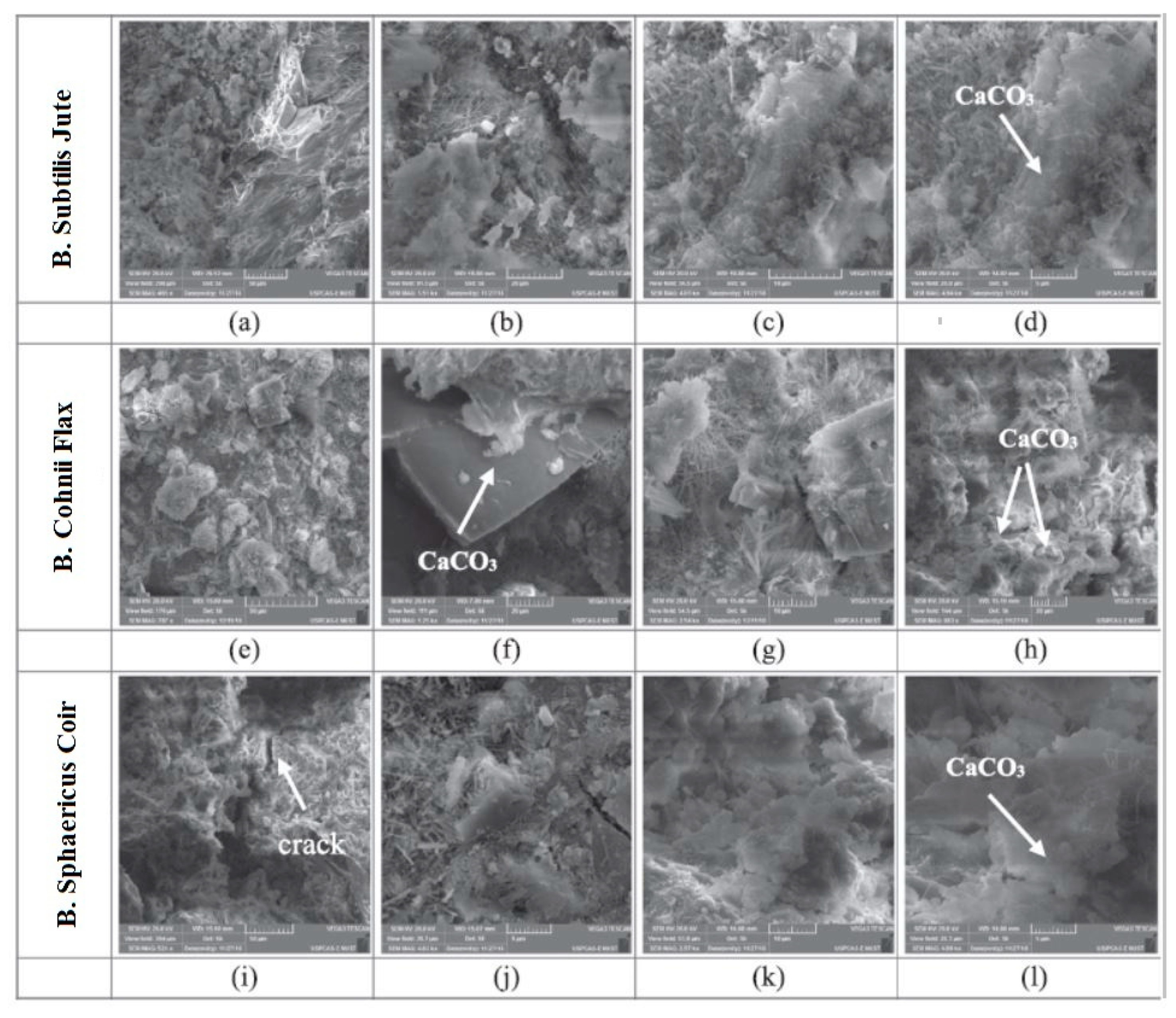 Biomimetics 05 00047 g009