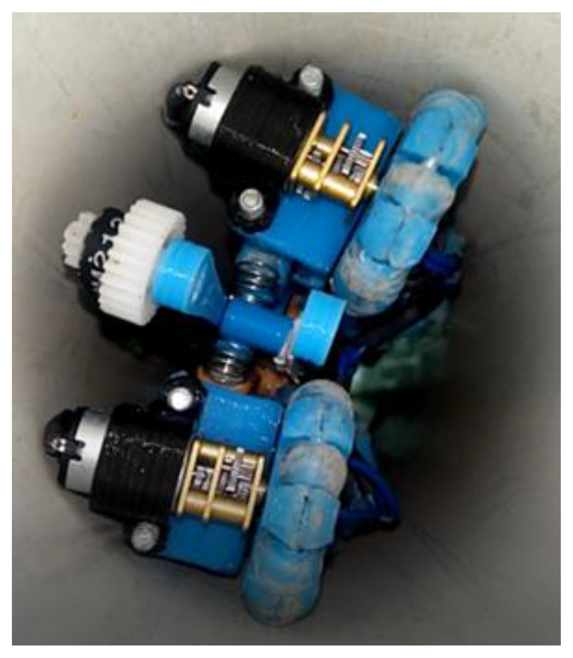 Biomimetics 06 00017 g010