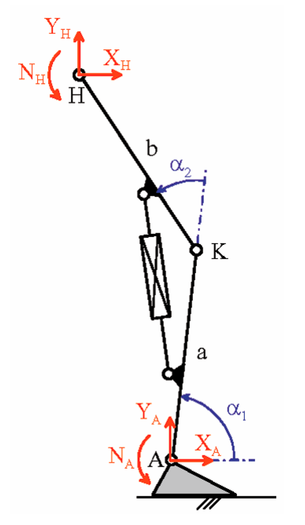 Biomimetics 06 00022 g009