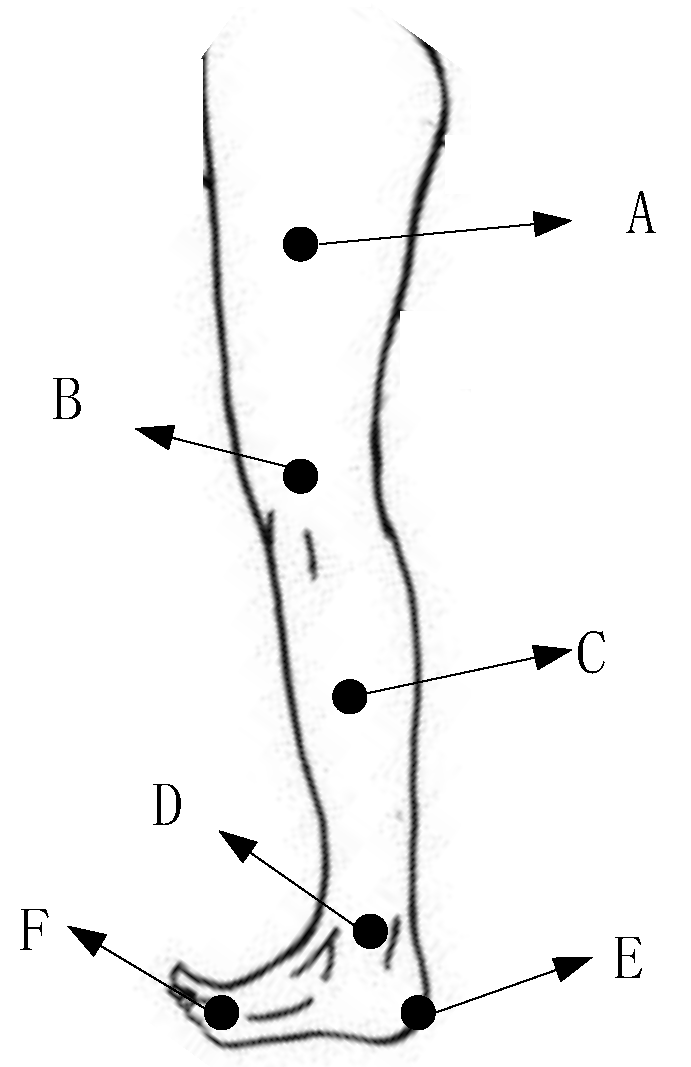 Biomimetics 06 00028 g003