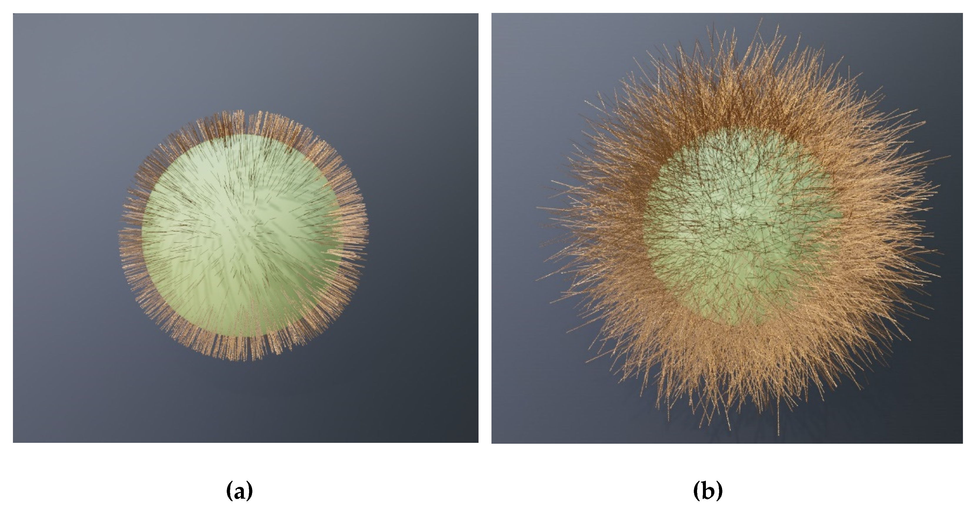 Biomimetics 06 00069 g007
