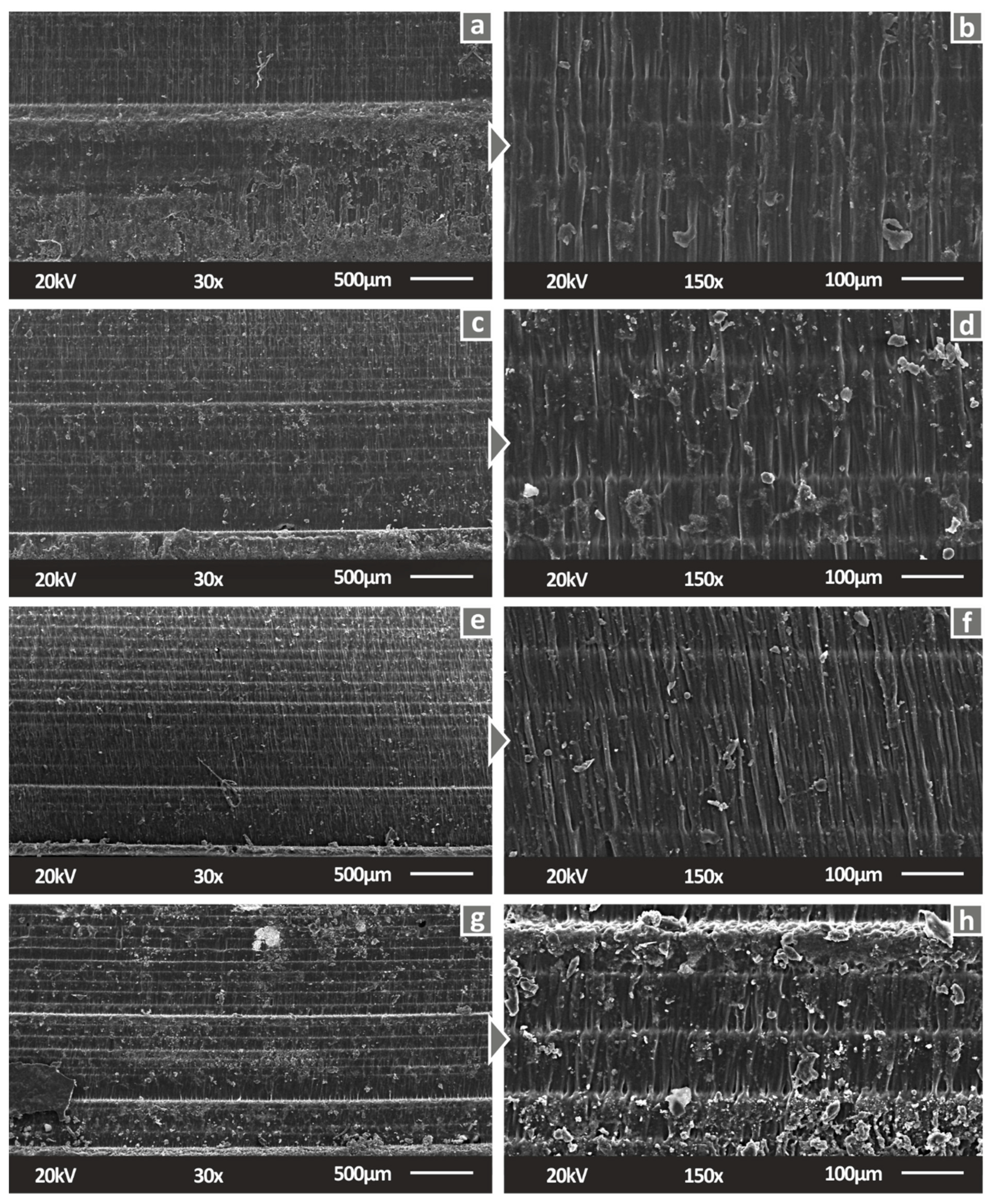 Biomimetics 07 00012 g005
