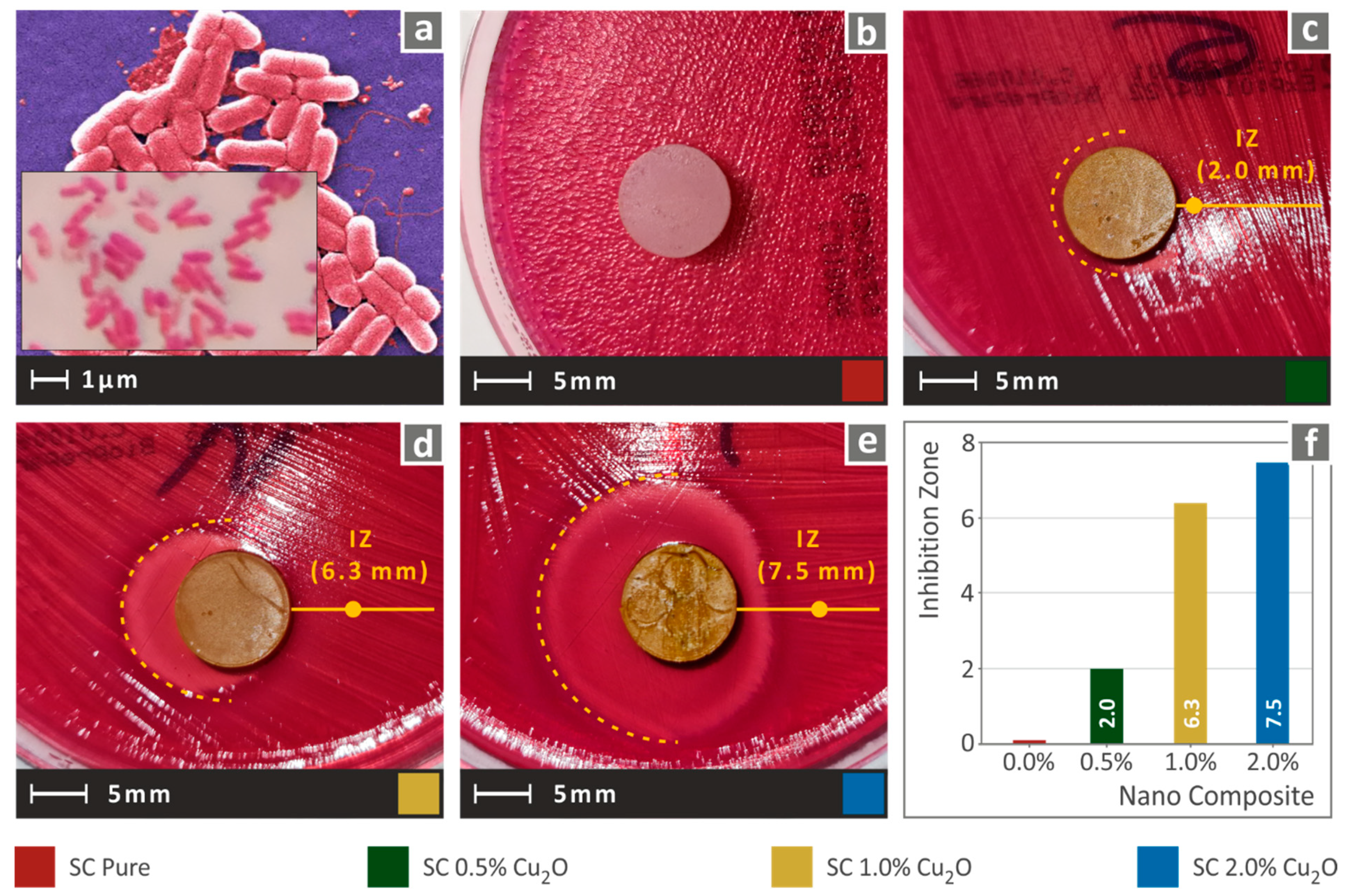 Biomimetics 07 00012 g008