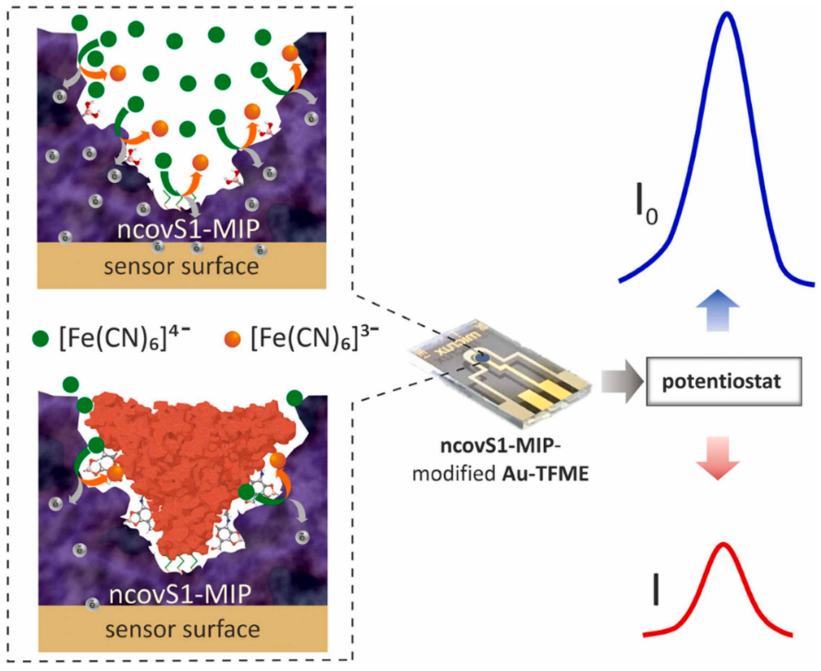 Biomimetics | Free Full-Text | Molecularly Imprinted Polymer-Based ...