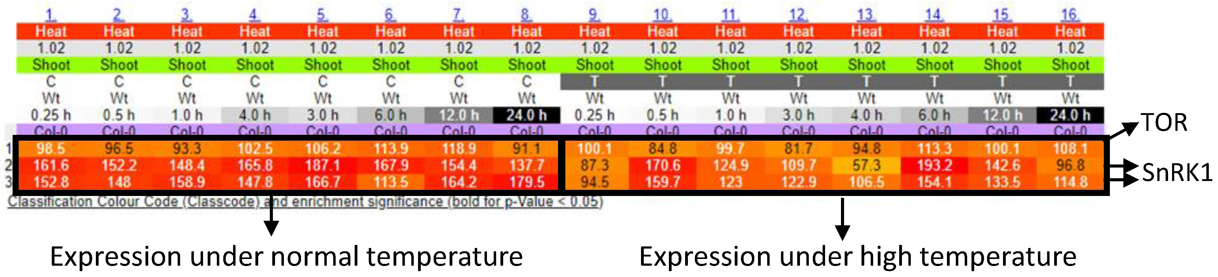 Biomimetics 07 00083 g004