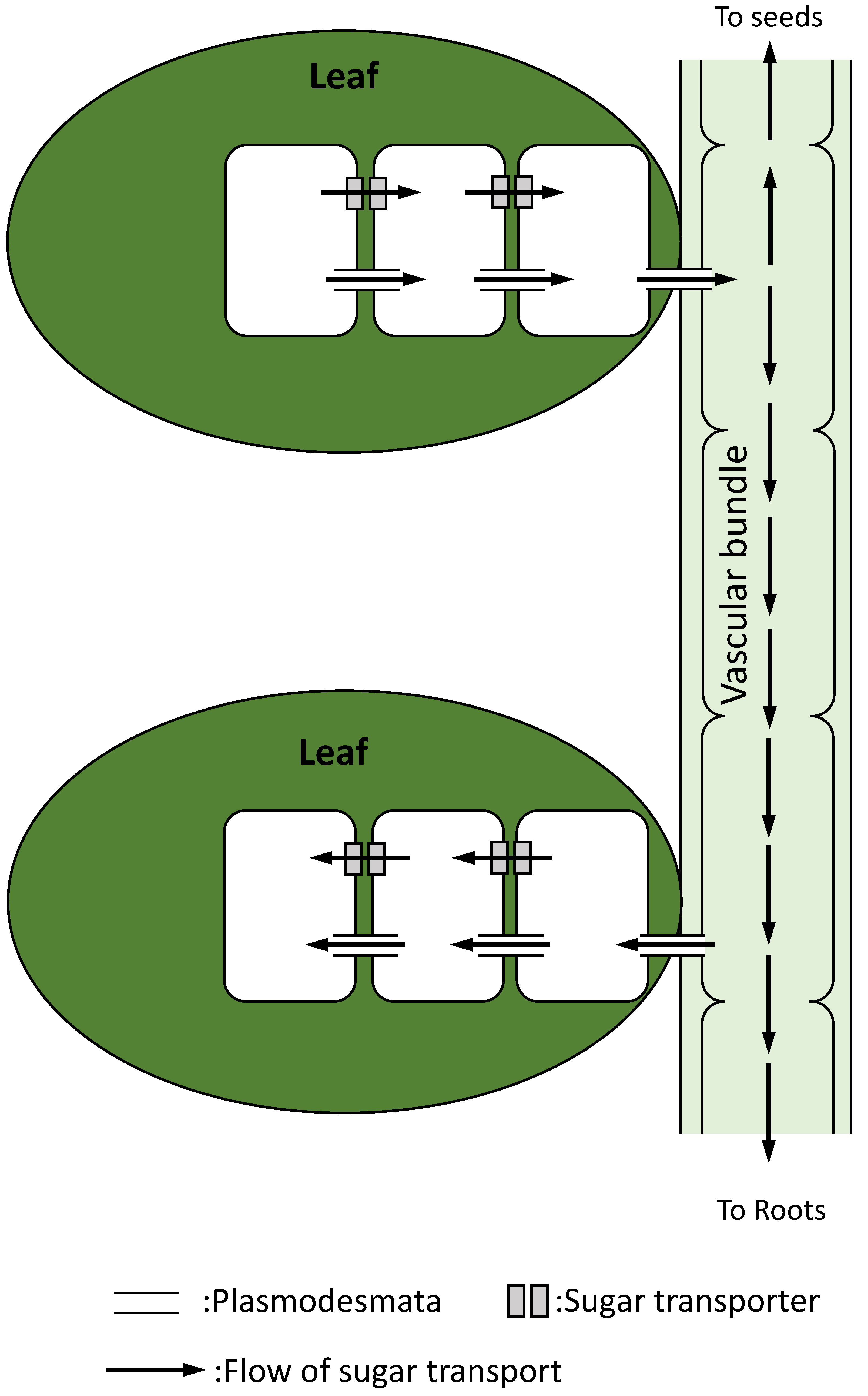 Biomimetics 07 00083 g005