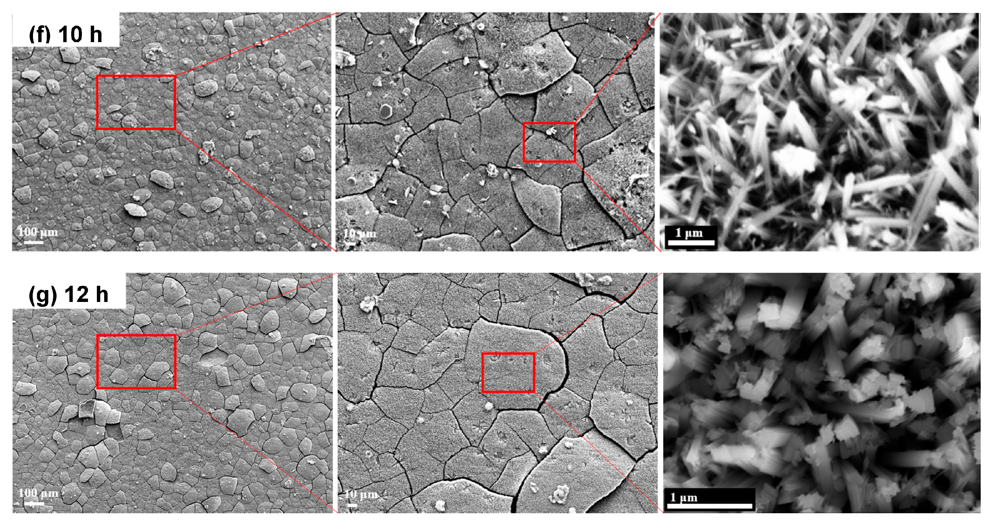 Biomimetics 07 00091 g003b