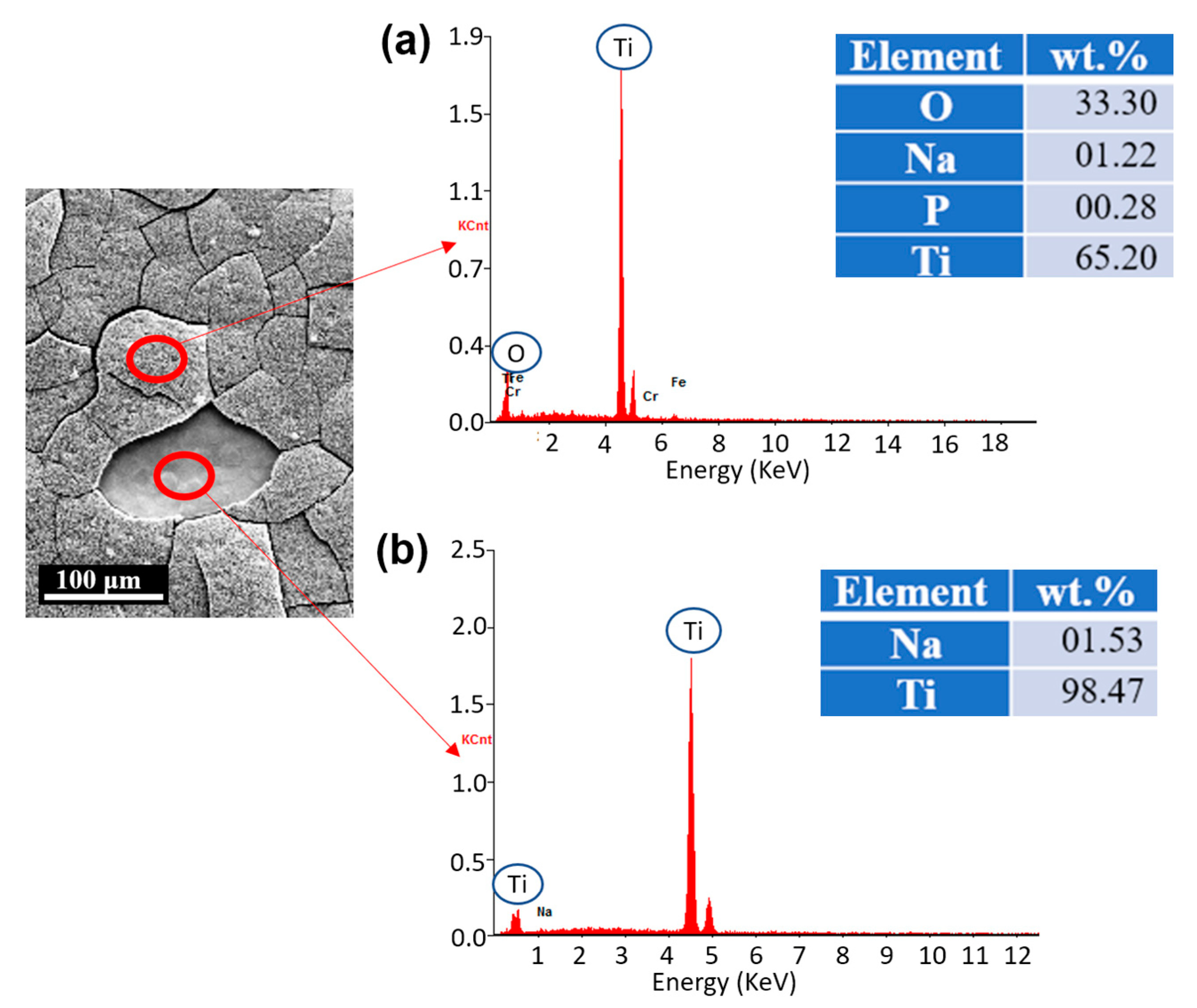 Biomimetics 07 00091 g005