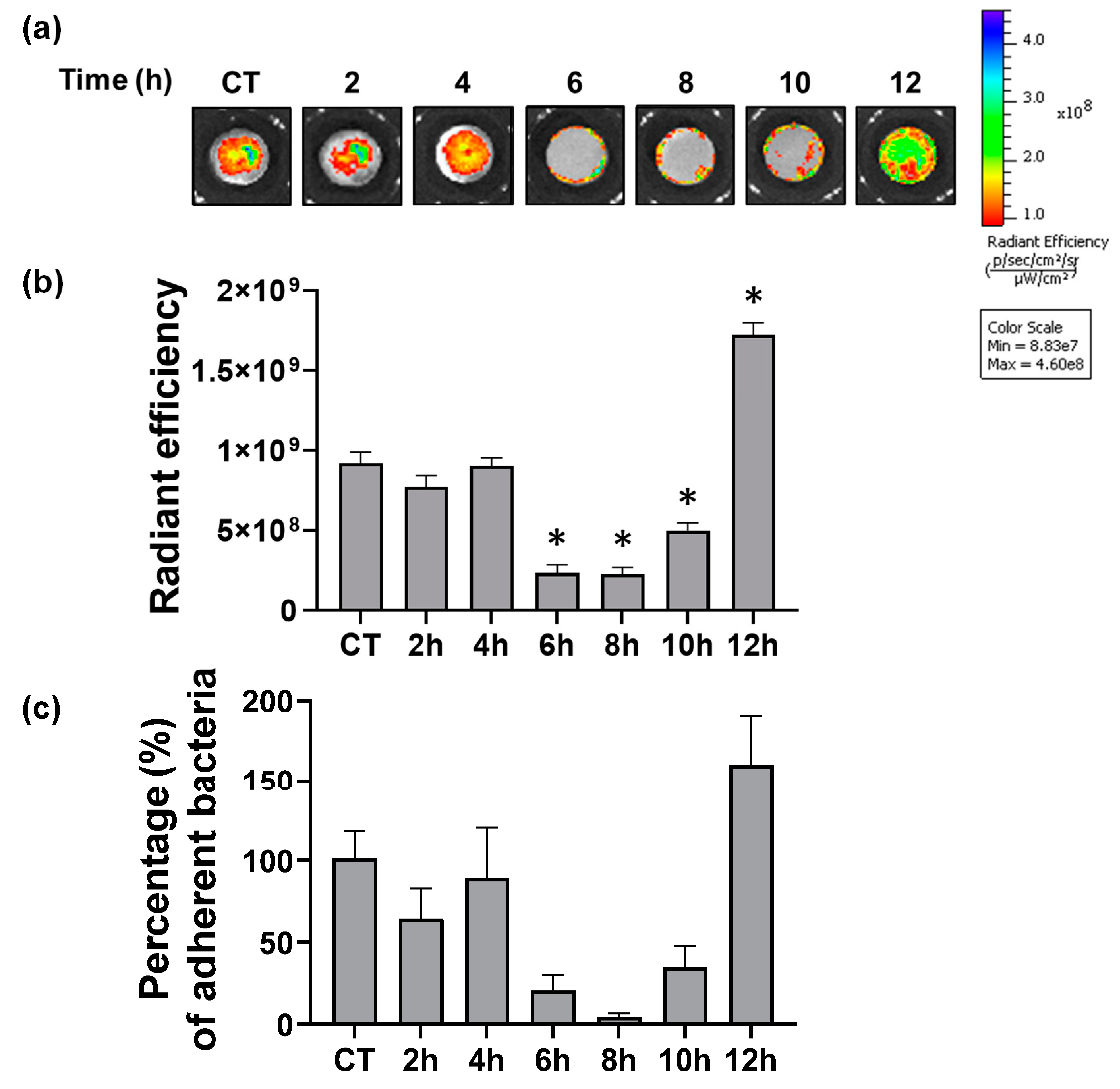 Biomimetics 07 00091 g007
