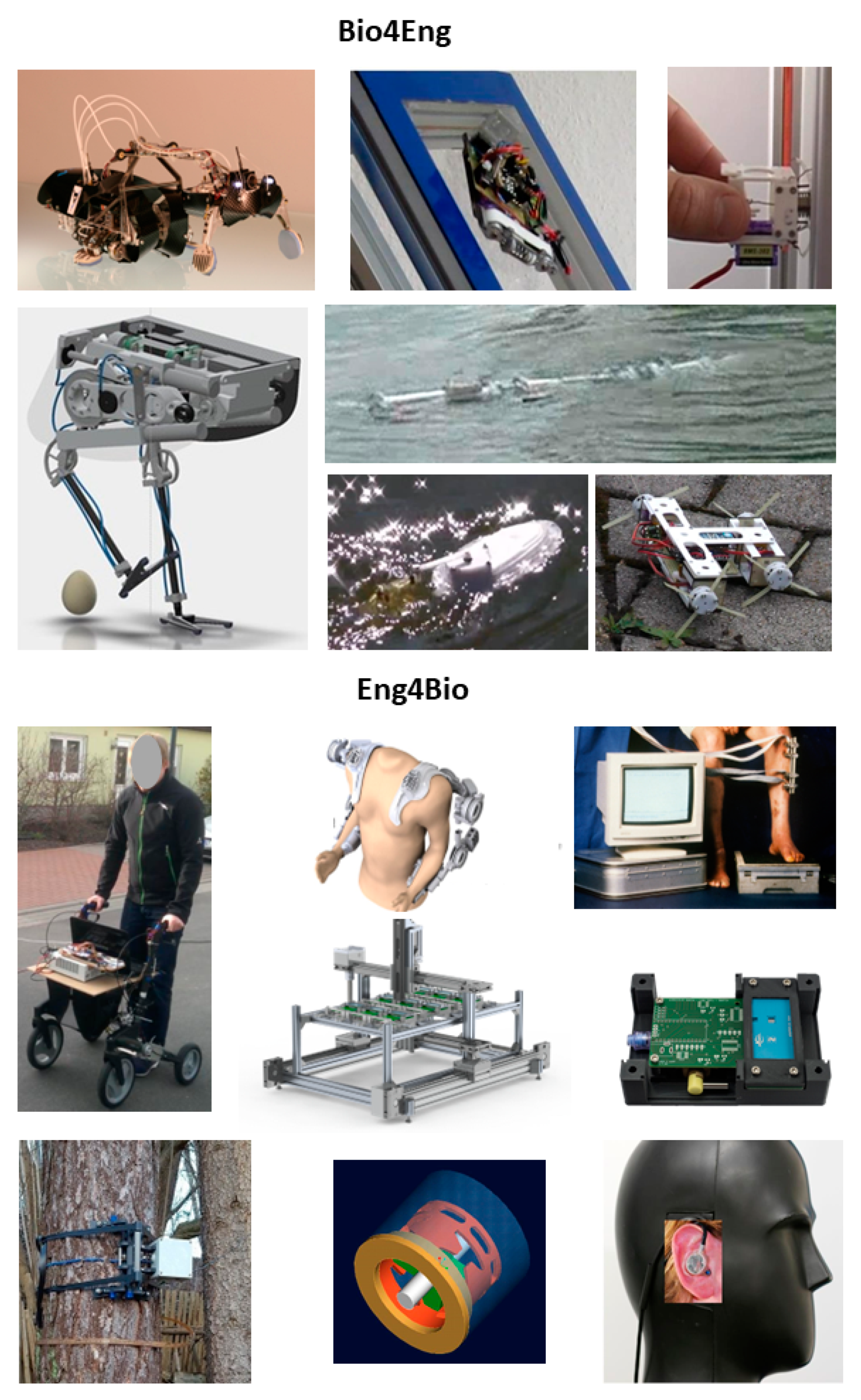 Biomimetics 07 00096 g002