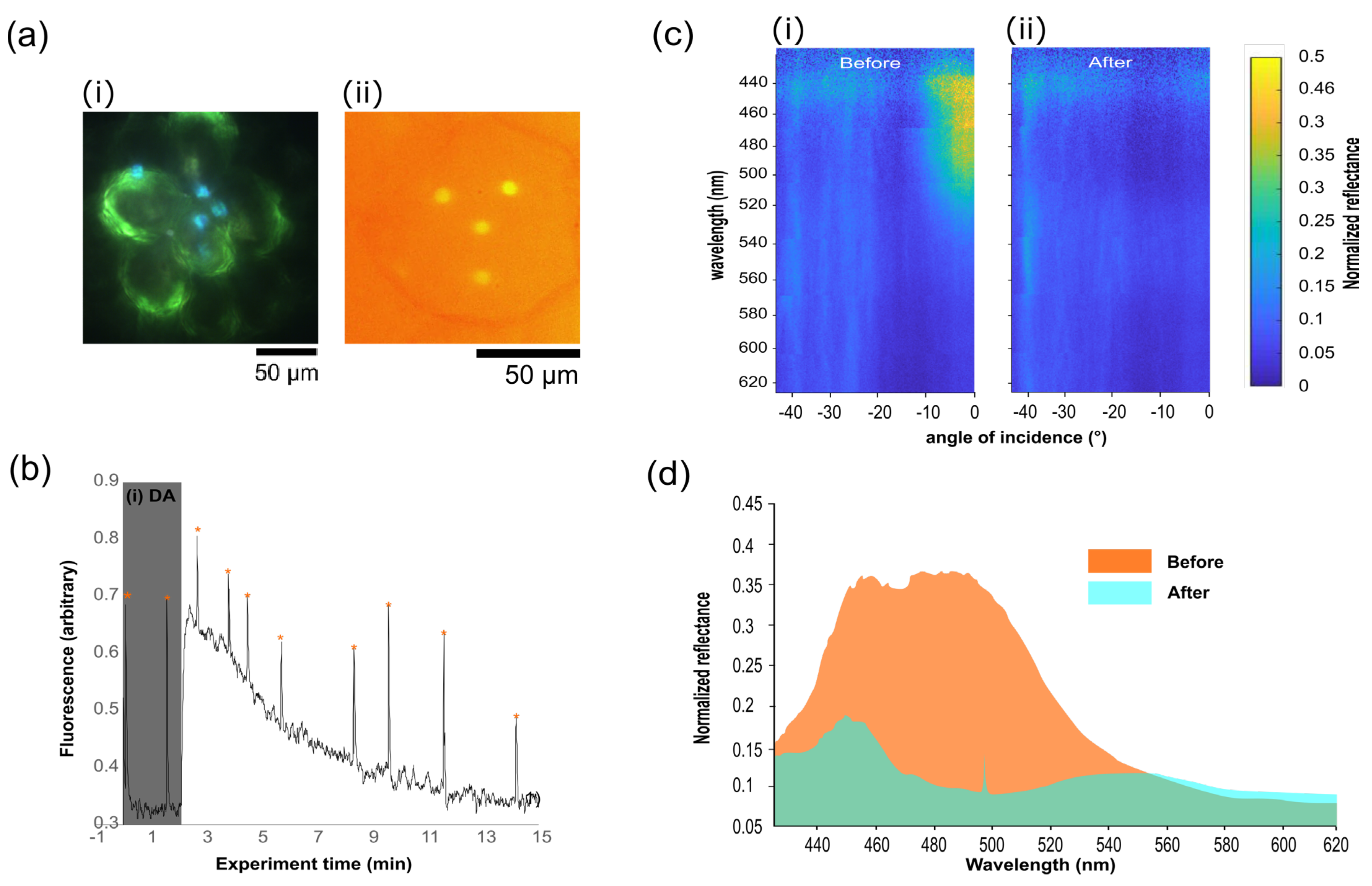 Biomimetics 07 00107 g003